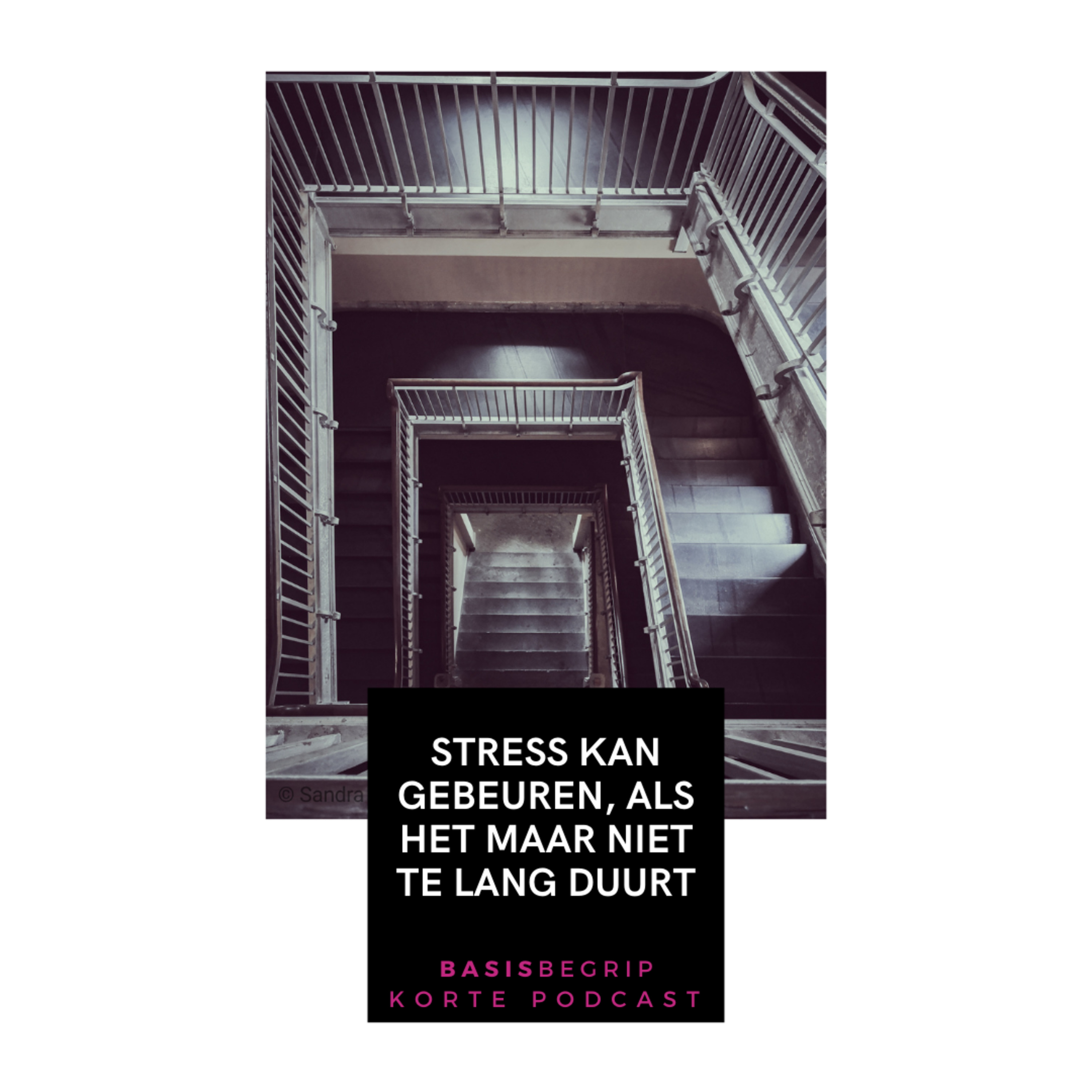 Stress kan gebeuren, als het maar niet te lang duurt episode artwork