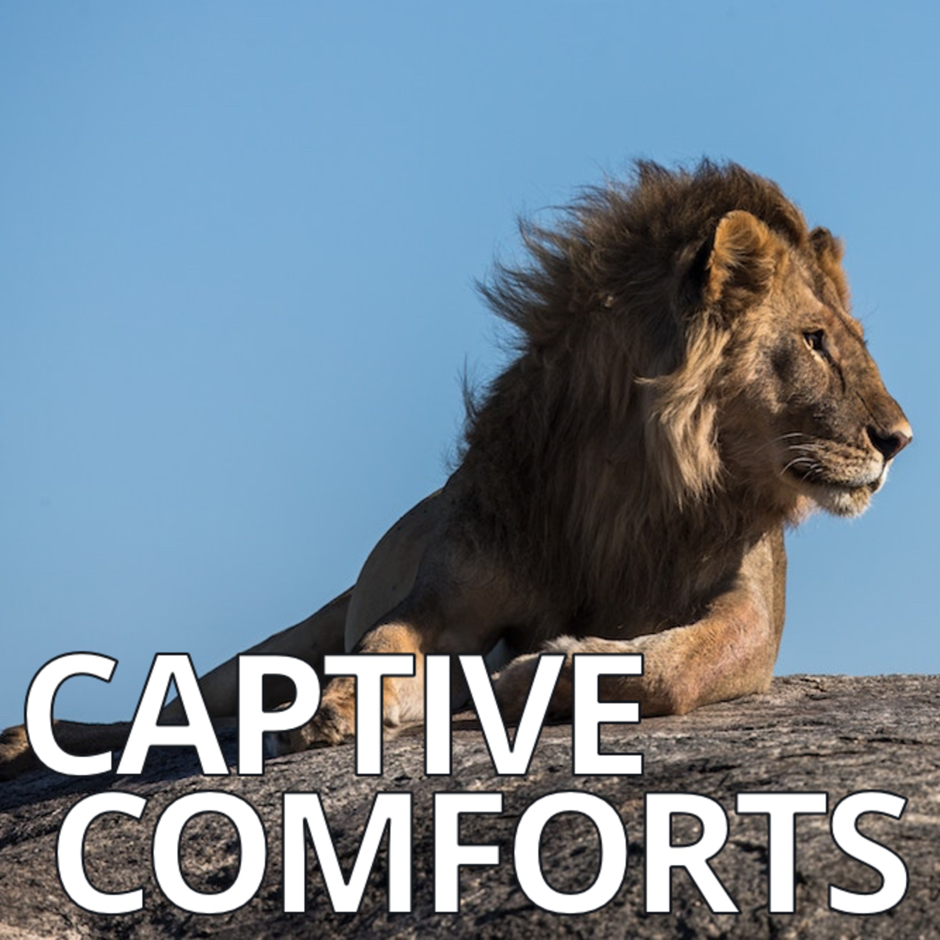 Captive Comforts episode artwork