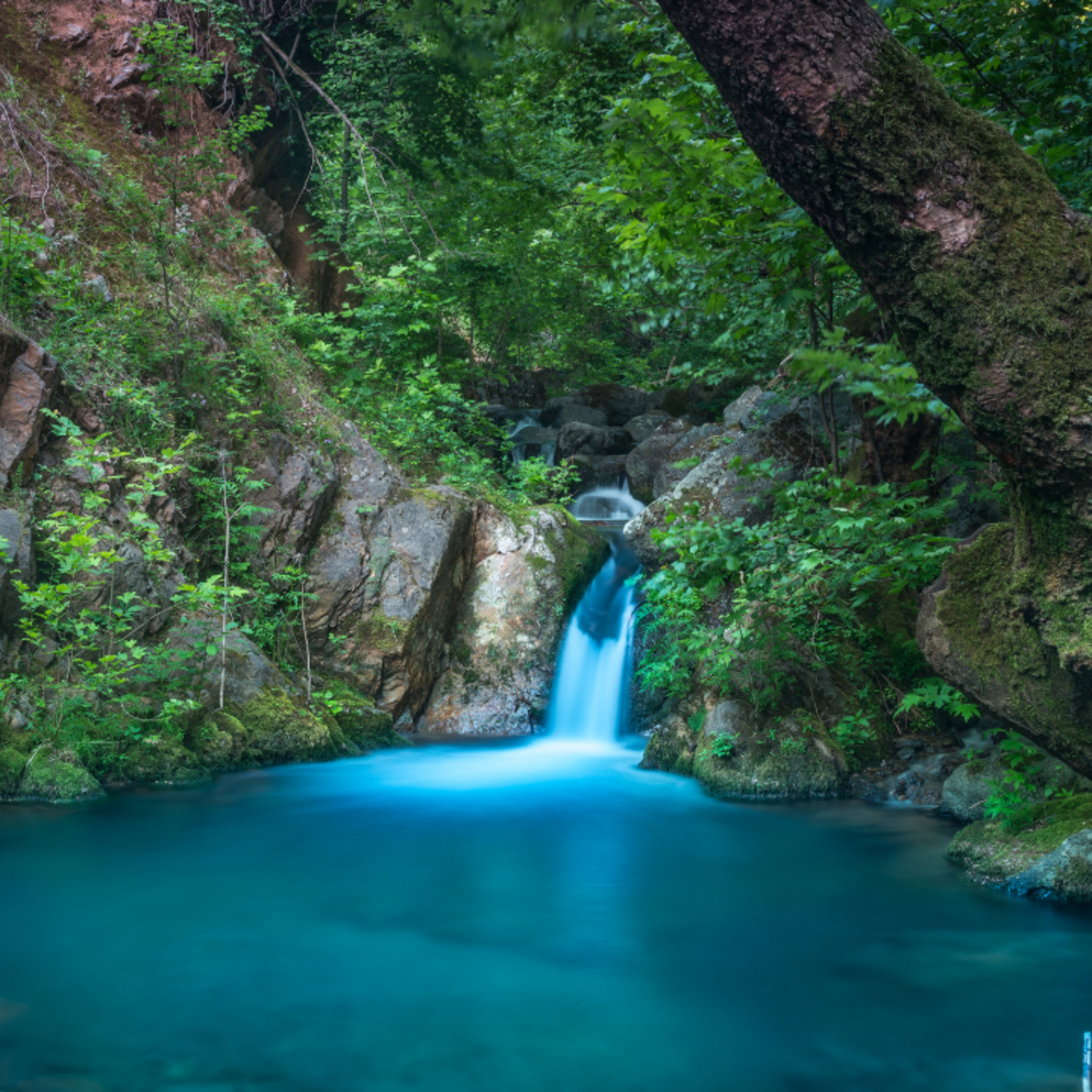 Birdsong + Stream Ambience (8 Hour) Gentle Stream with Bird Sounds for Relaxation episode artwork