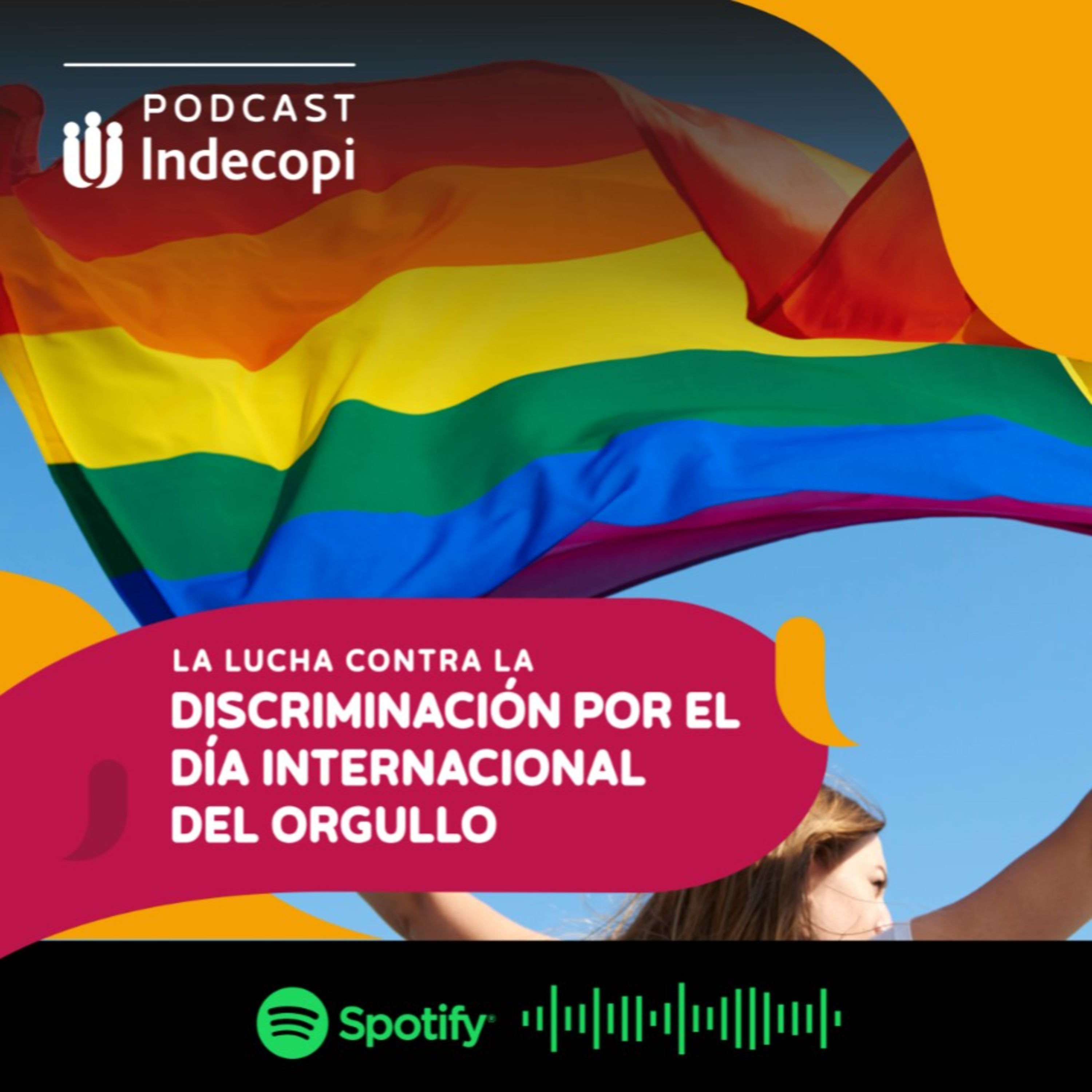 Recomendaciones para la lucha contra la discriminación por el Día Internacional del Orgullo episode artwork