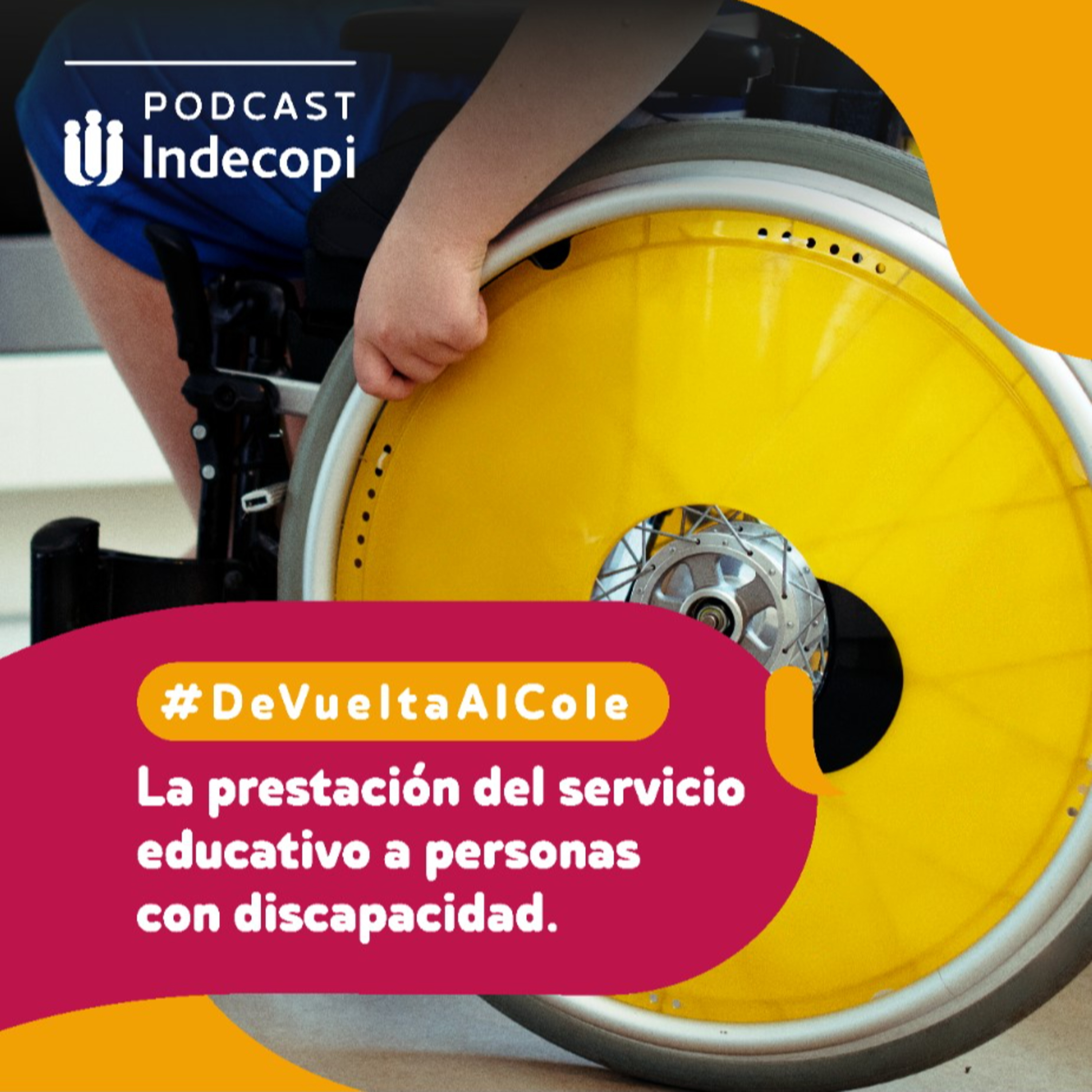  #DeVueltaAlCole - La prestación del servicio educativo a personas con discapacidad.  episode artwork