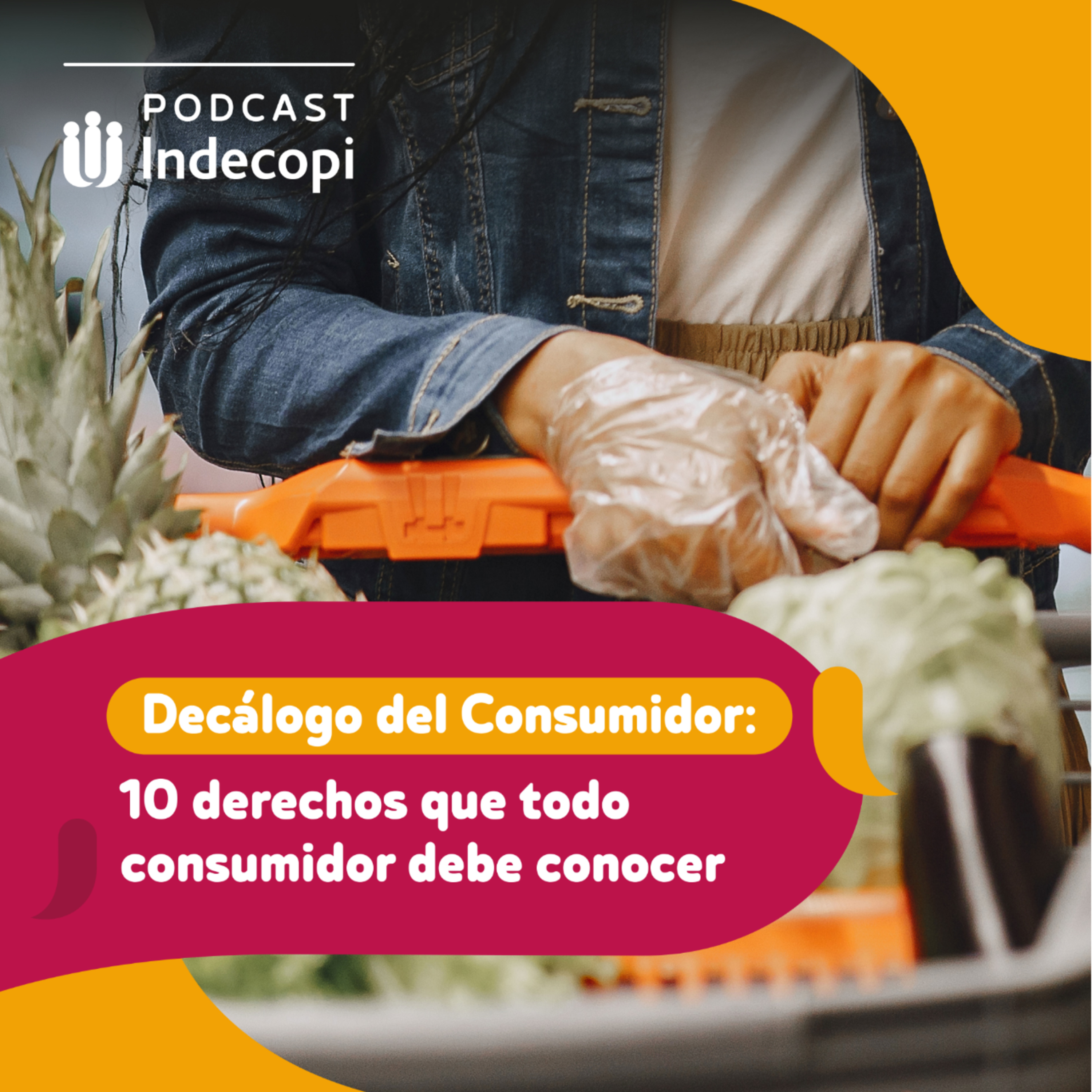 Decálogo del Consumidor |Derechos que todo consumidor debe conocer - Segundo derecho  episode artwork