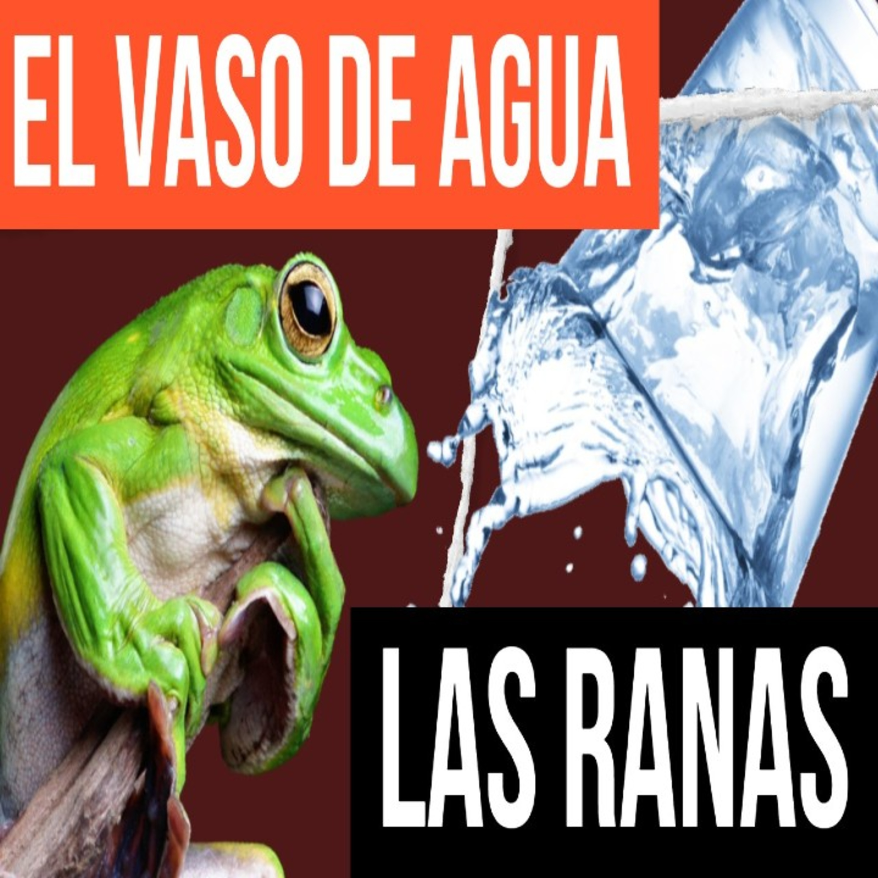 Cuentos Cortos Para el Alma