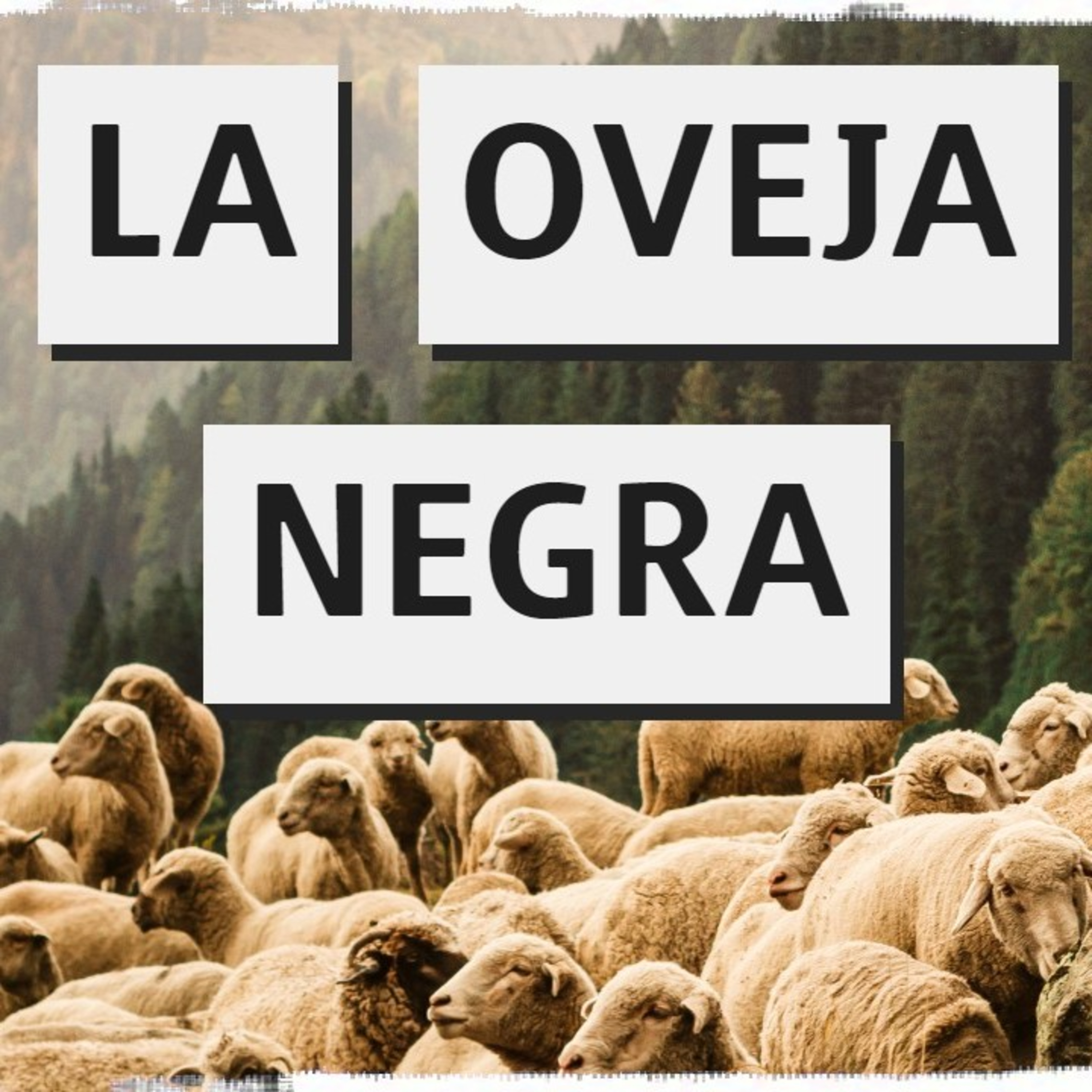 Cuentos Cortos Para el Alma