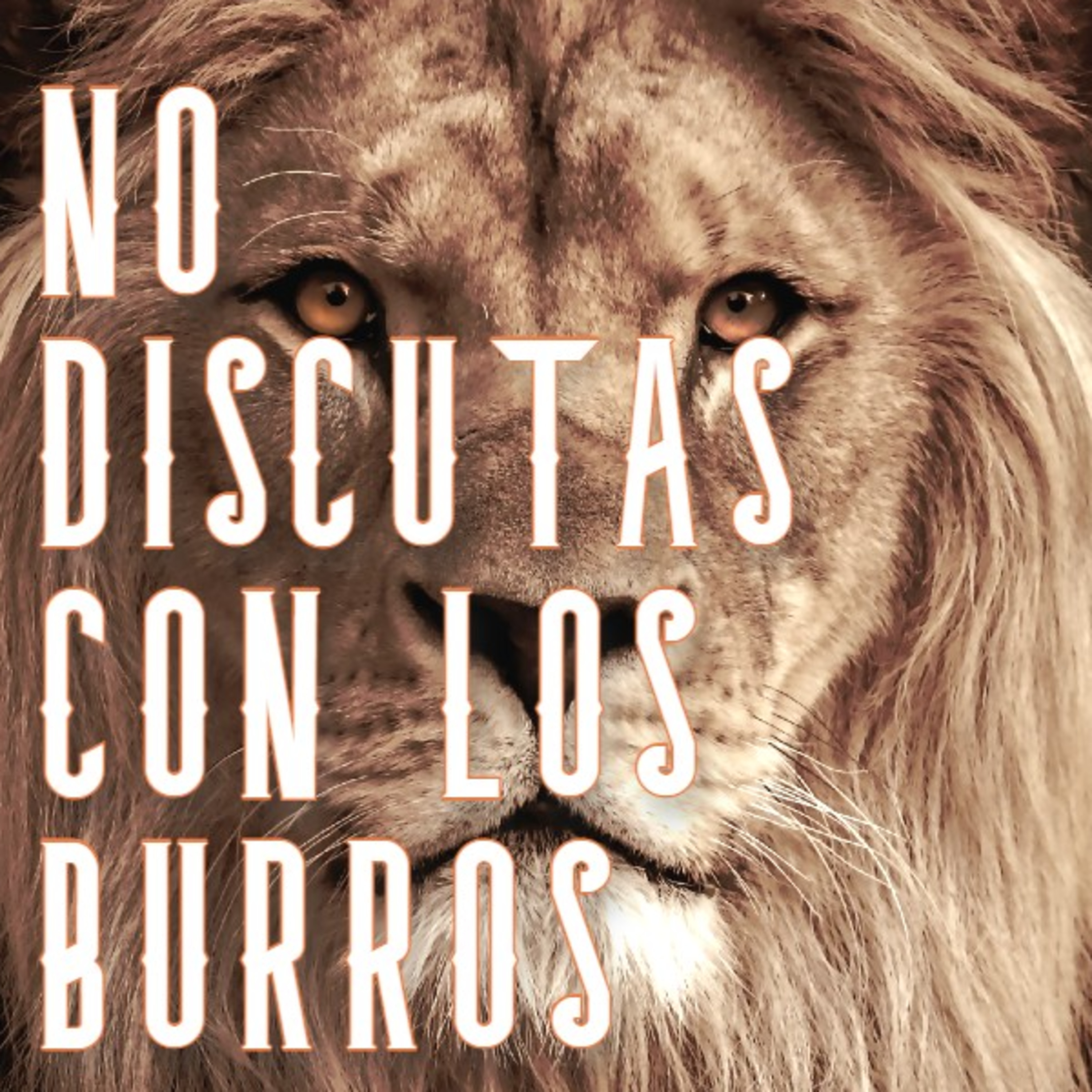 Cuentos Cortos Para el Alma