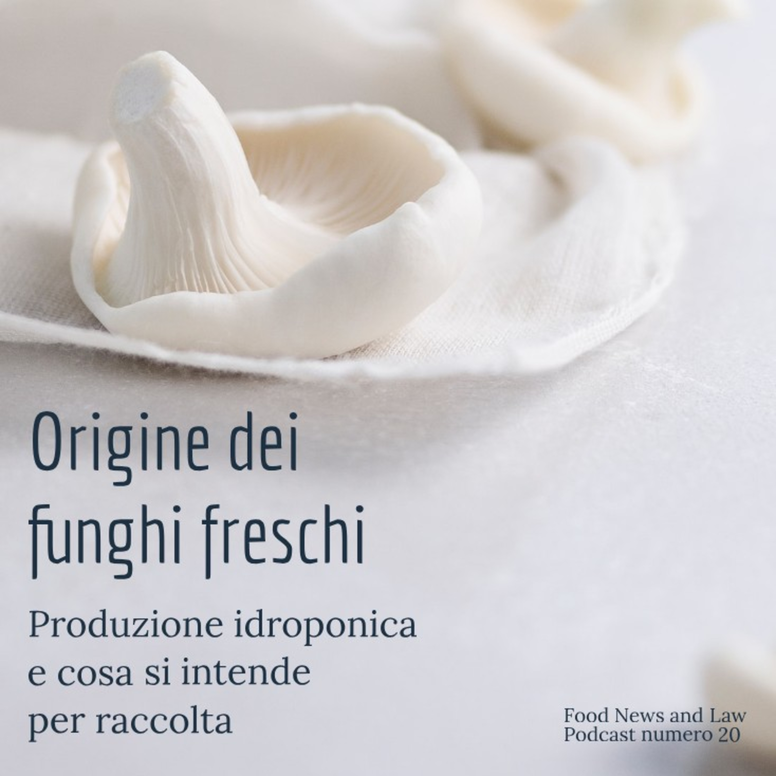 Food News and Law - Il Diritto alimentare