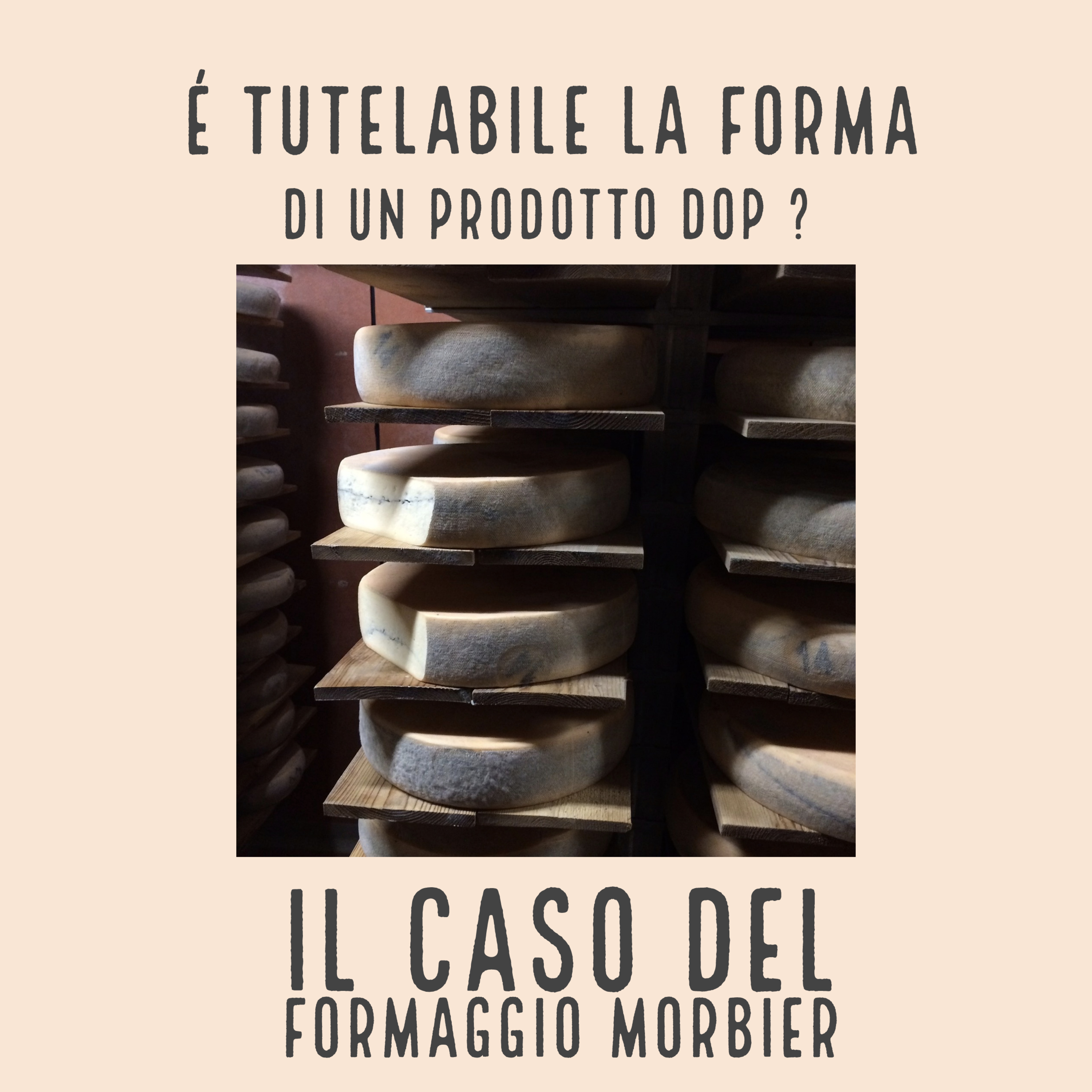 Food News and Law - Il Diritto alimentare