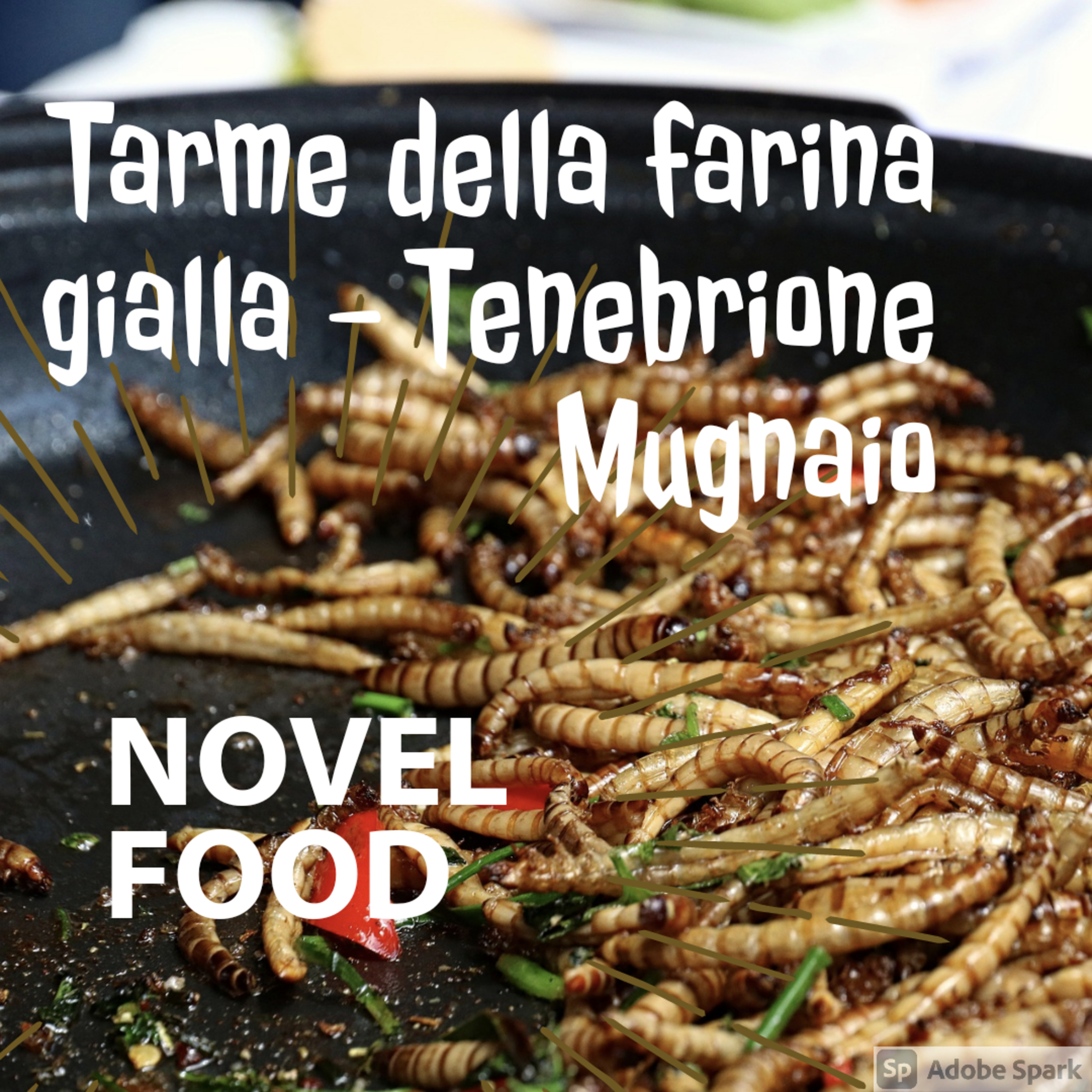 Food News and Law - Il Diritto alimentare