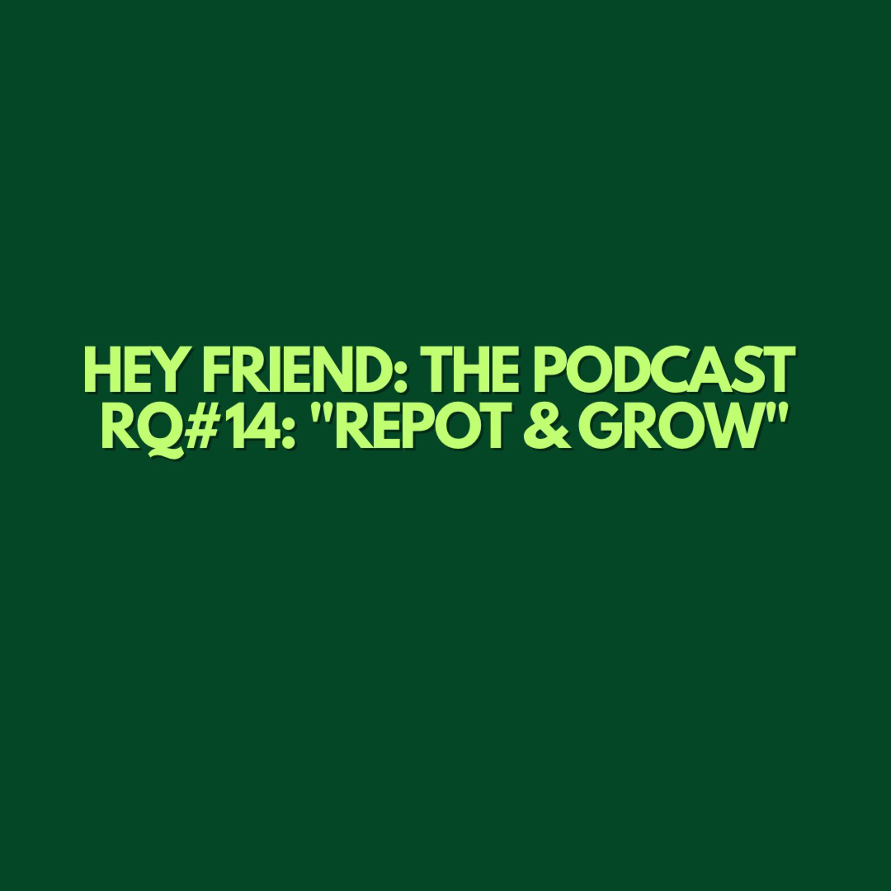 Hey Friend: The Podcast with Skyler \