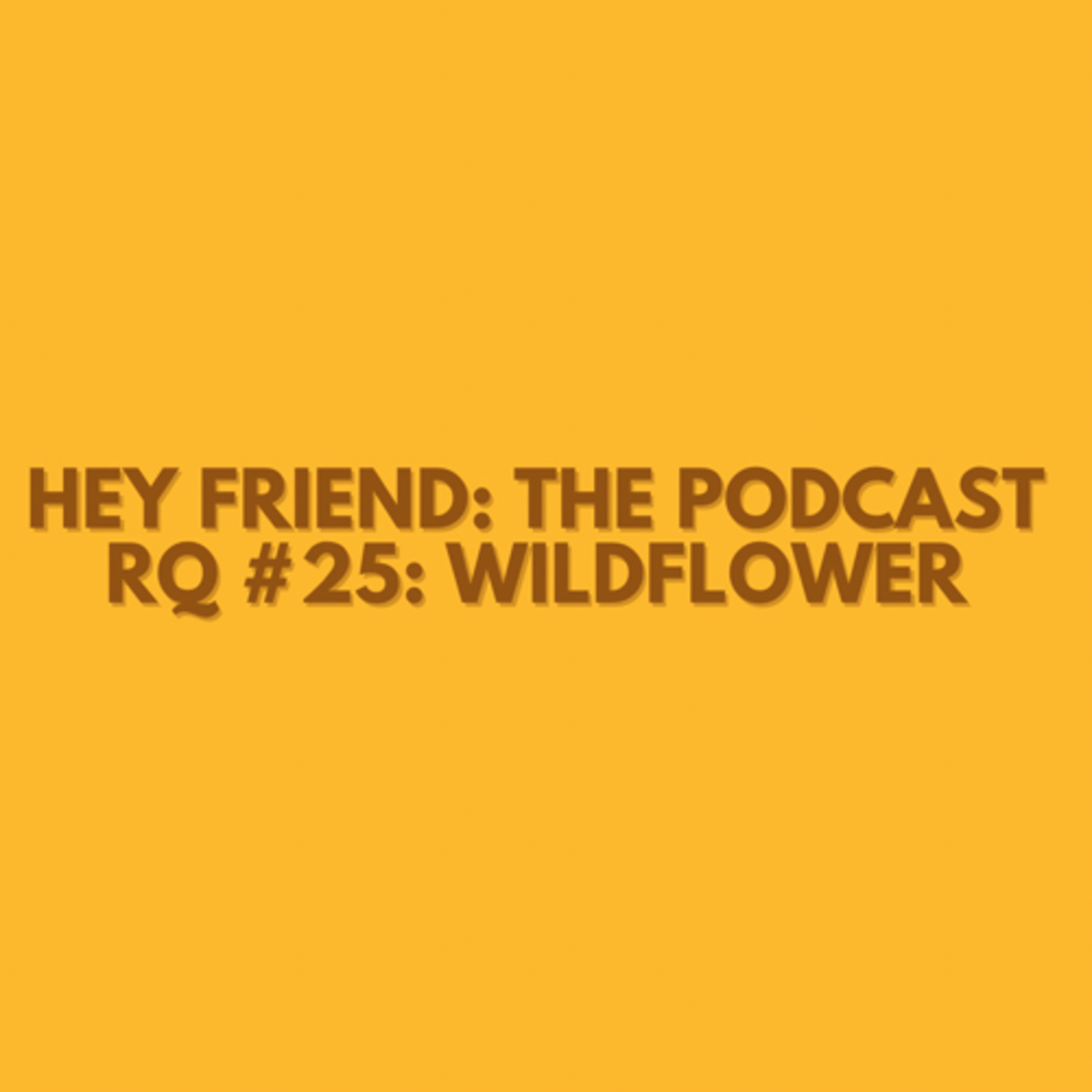 Hey Friend: The Podcast with Skyler \