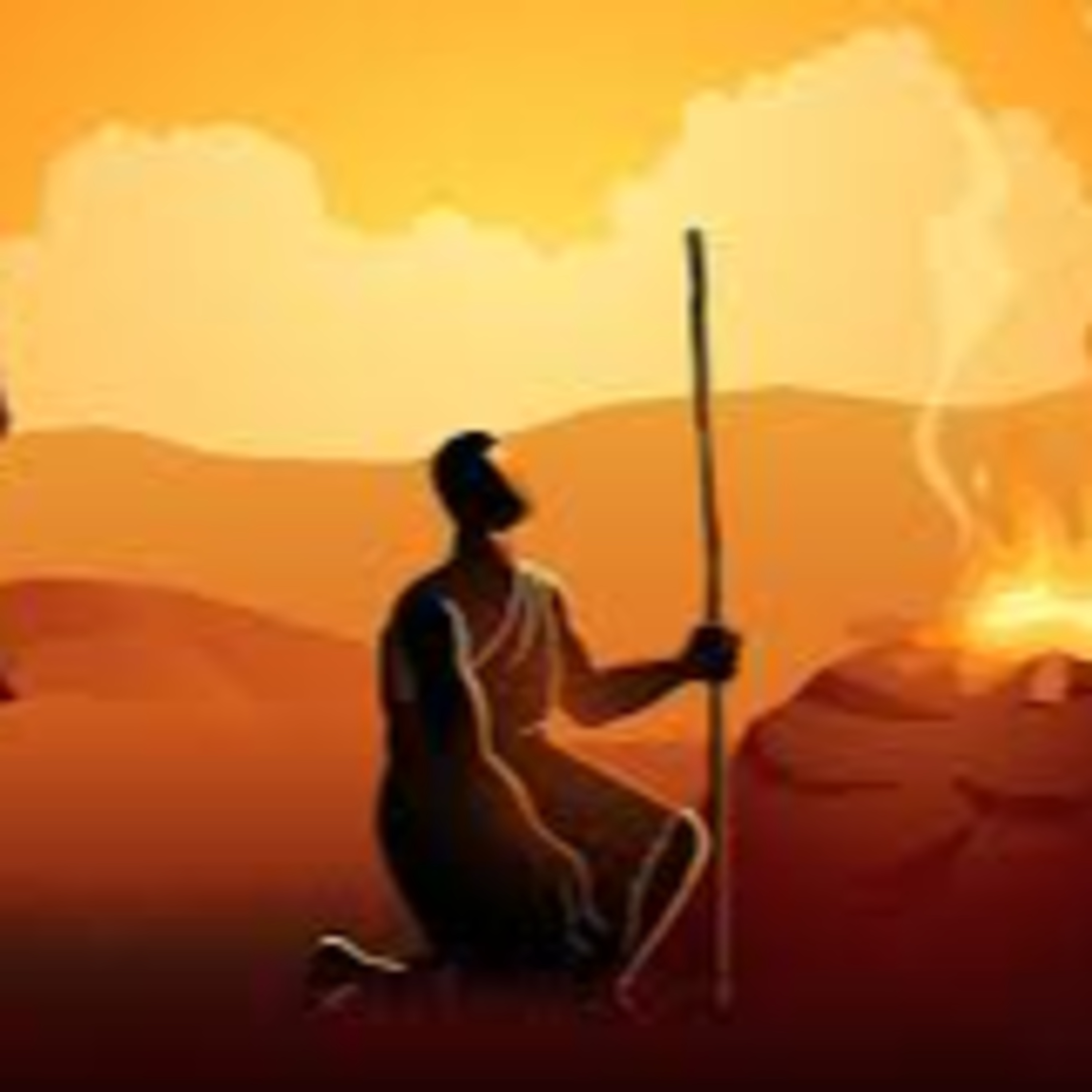 BIBLE SURVEY