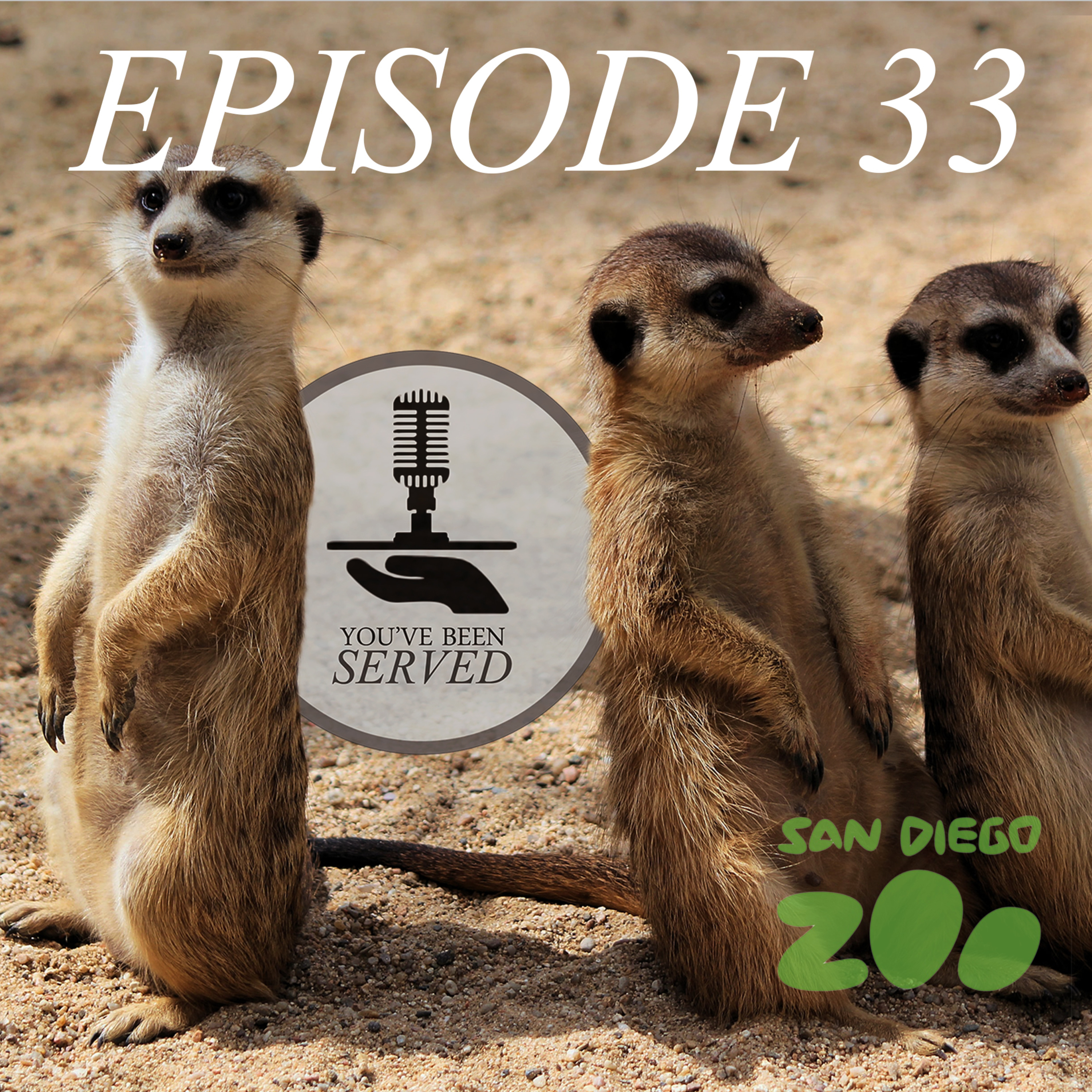 You've Been Served podcast cover