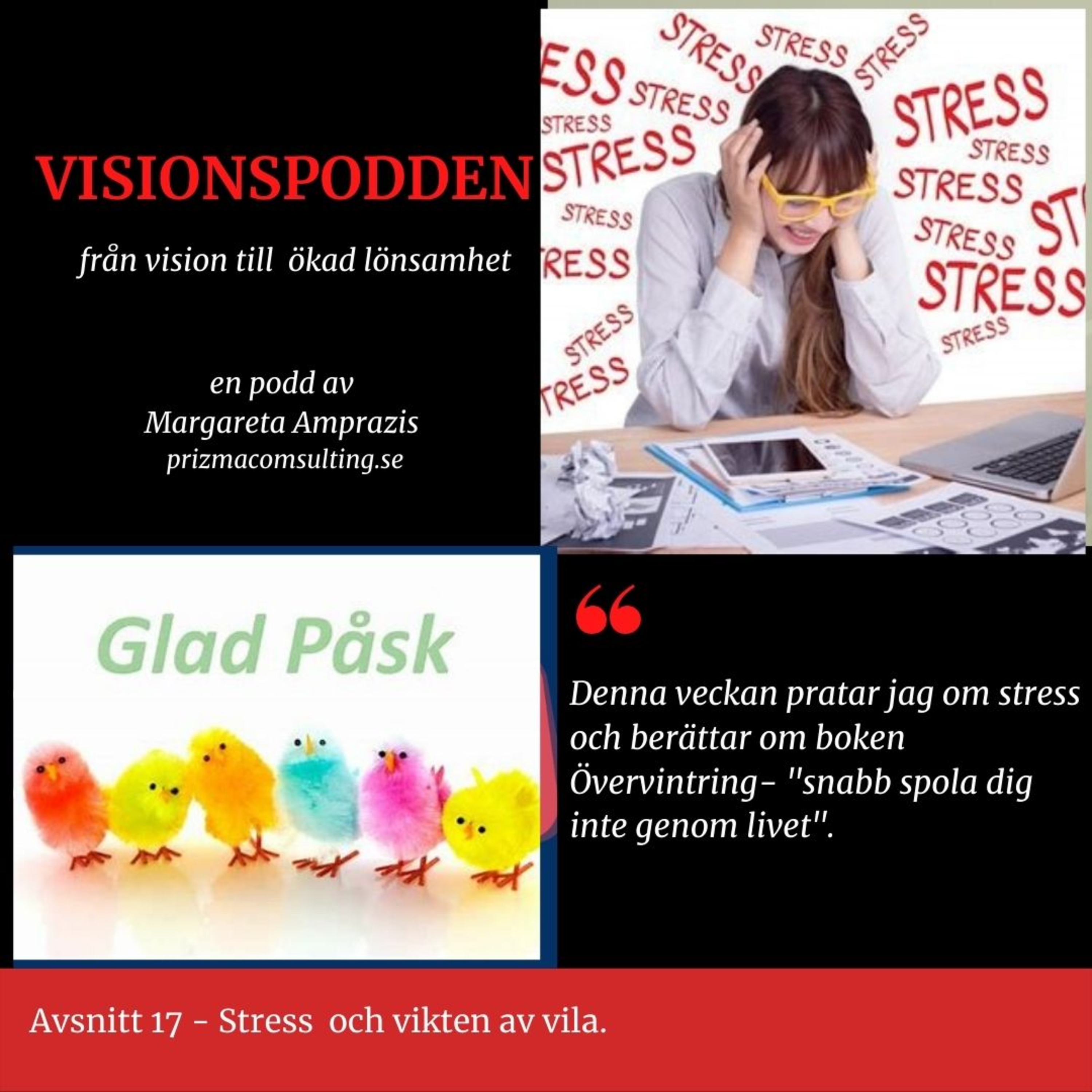 Visionspodden