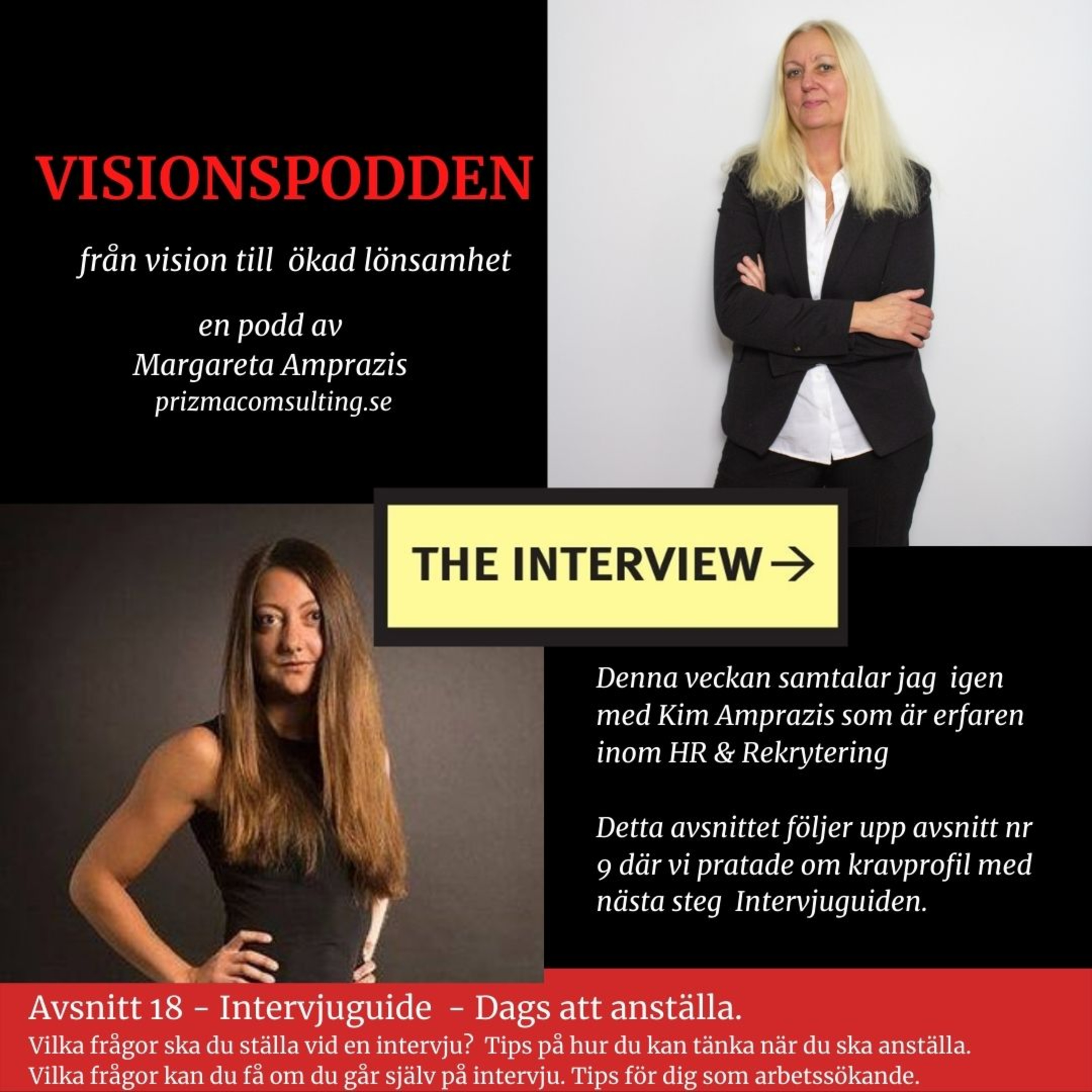Visionspodden