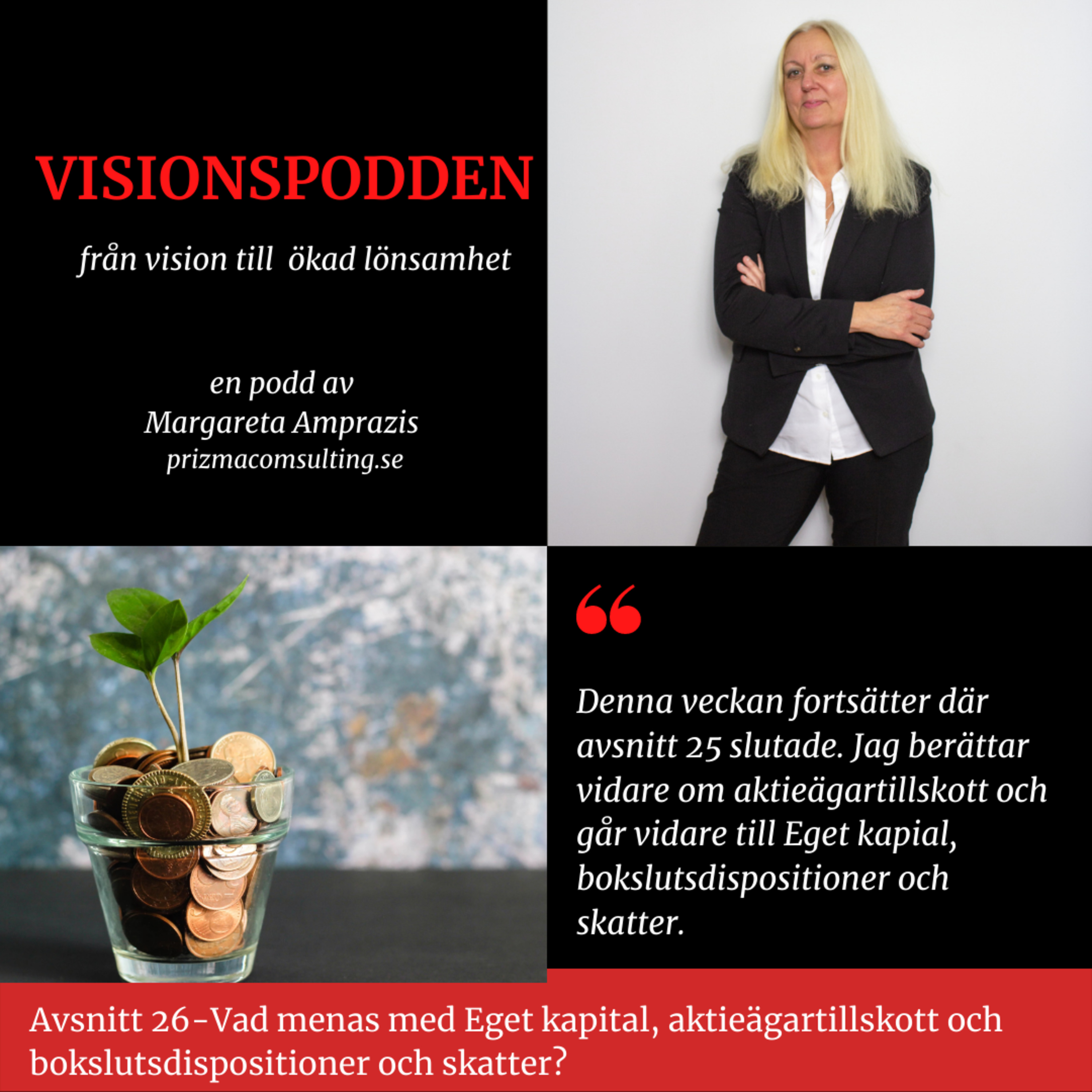 Visionspodden