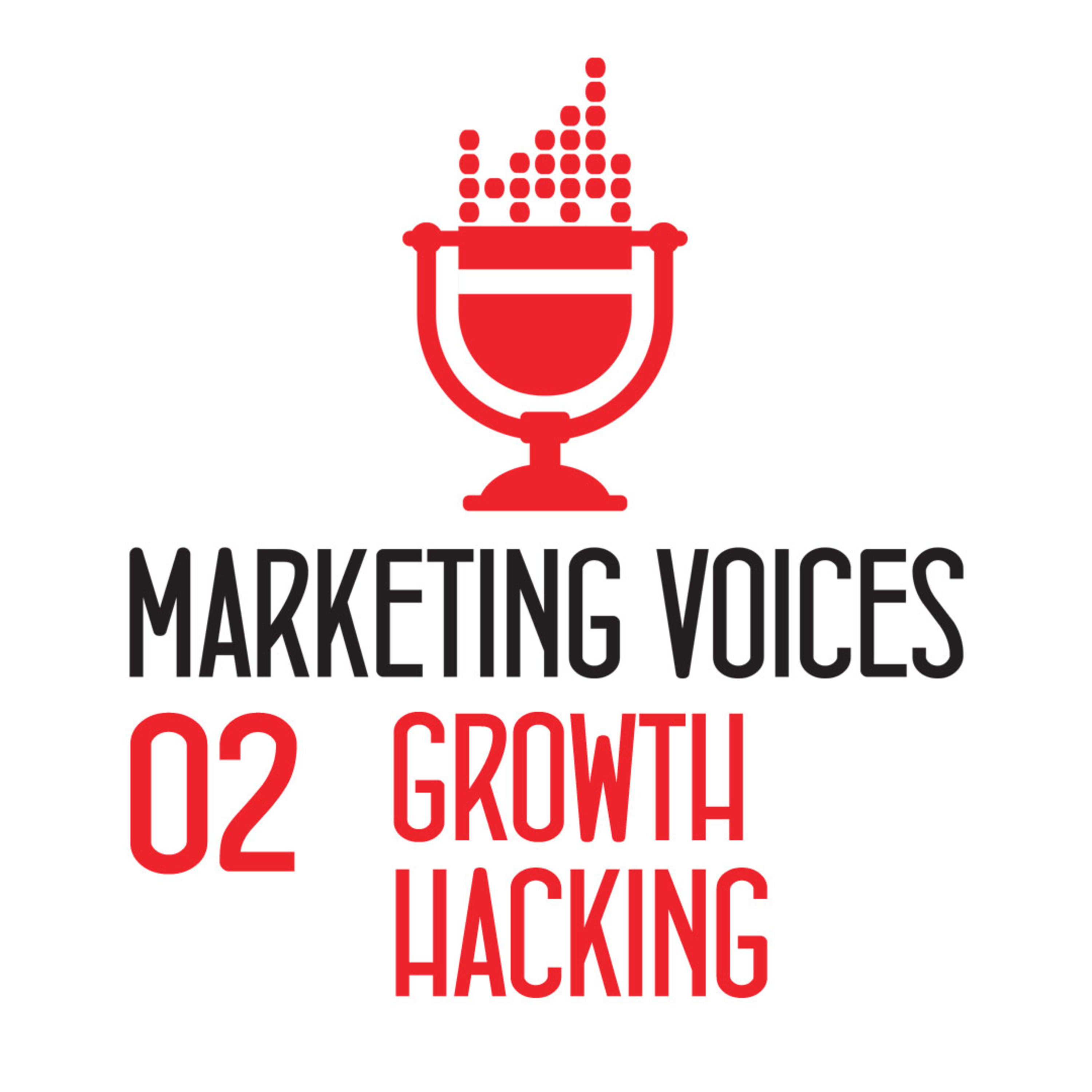 Marketing Voices