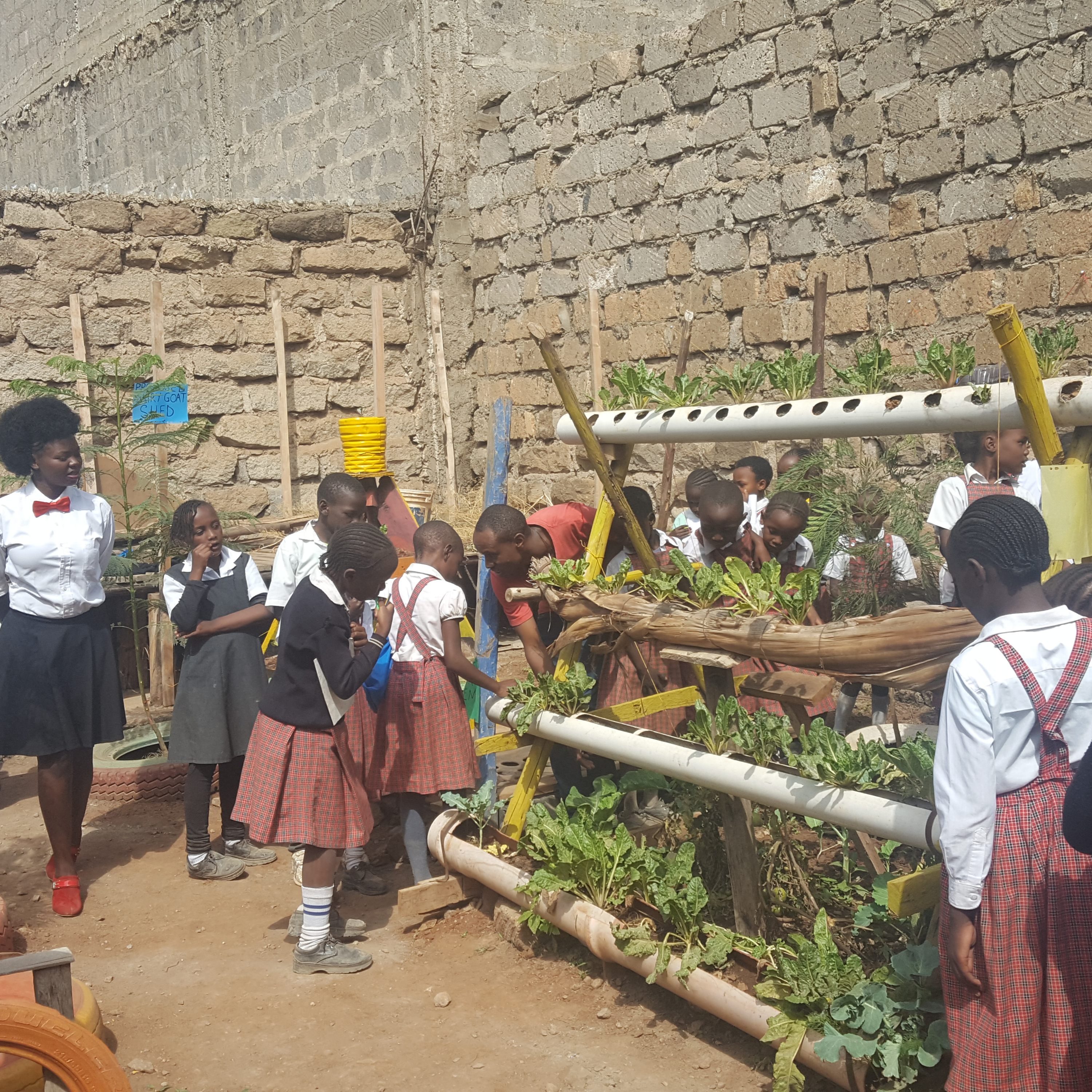 Mazingira yetu radio