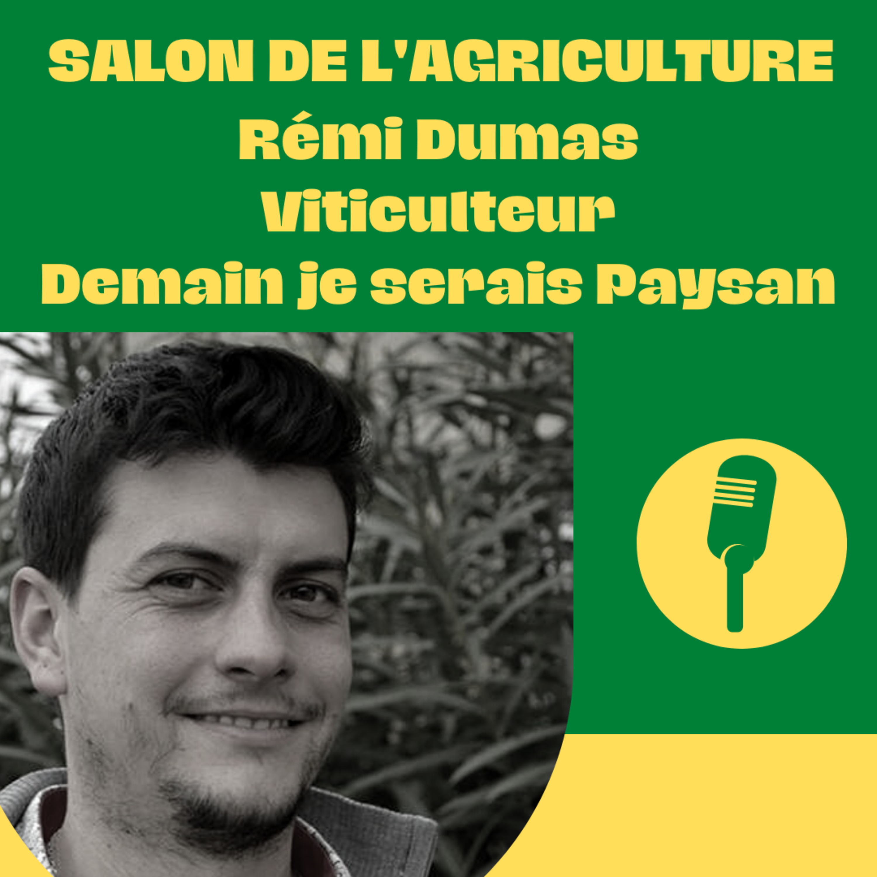 Les éclaireurs