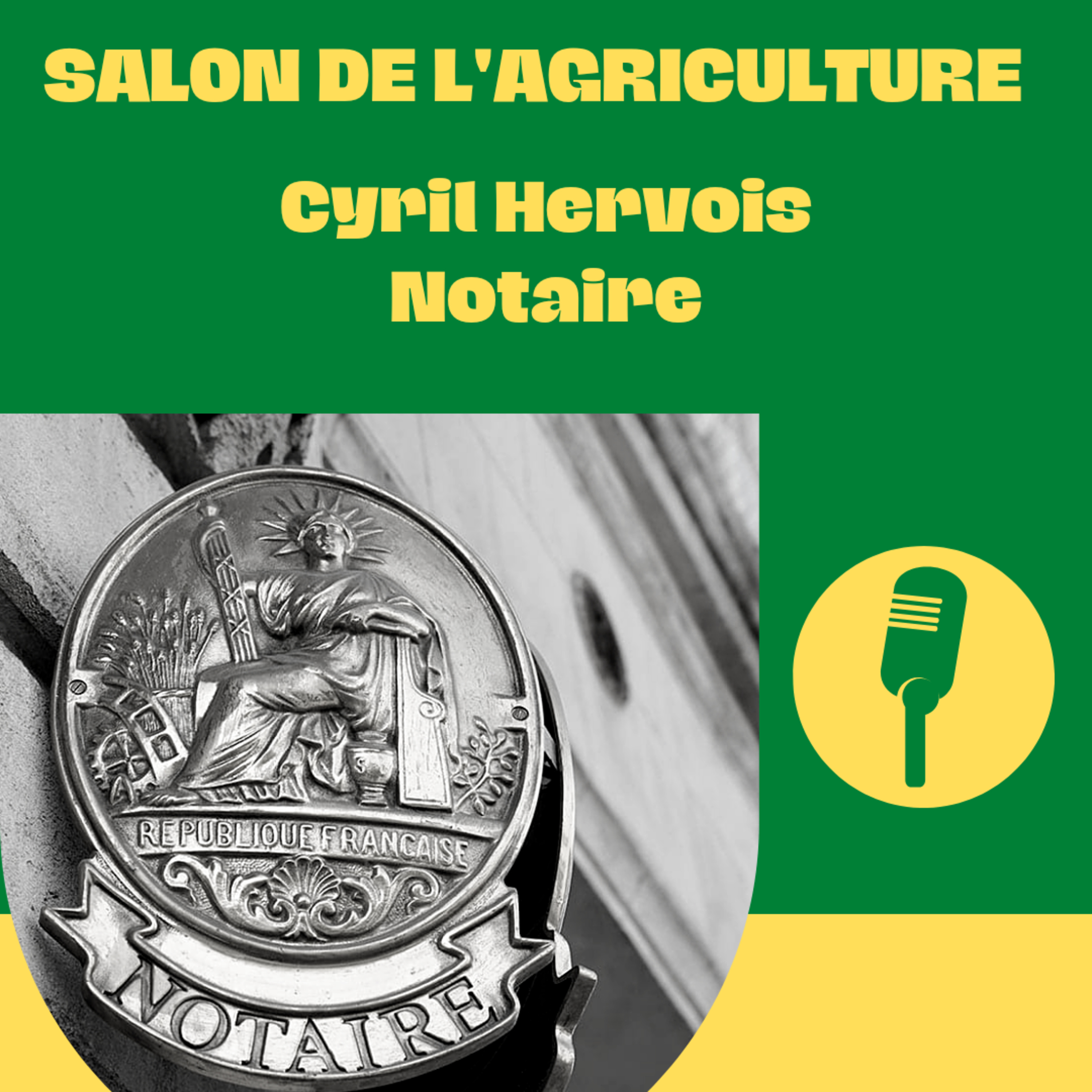 Les éclaireurs