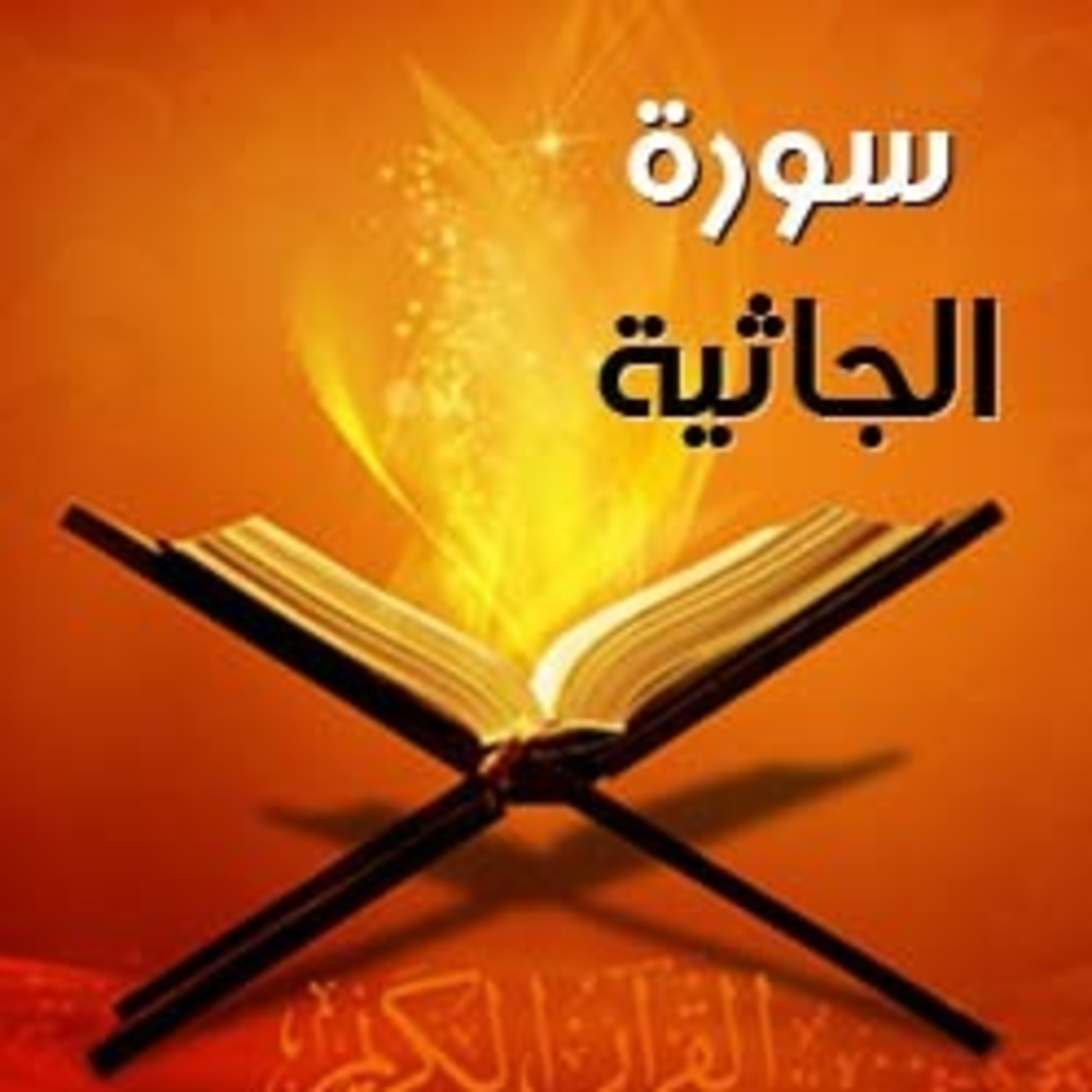 Read Alqur’an Today