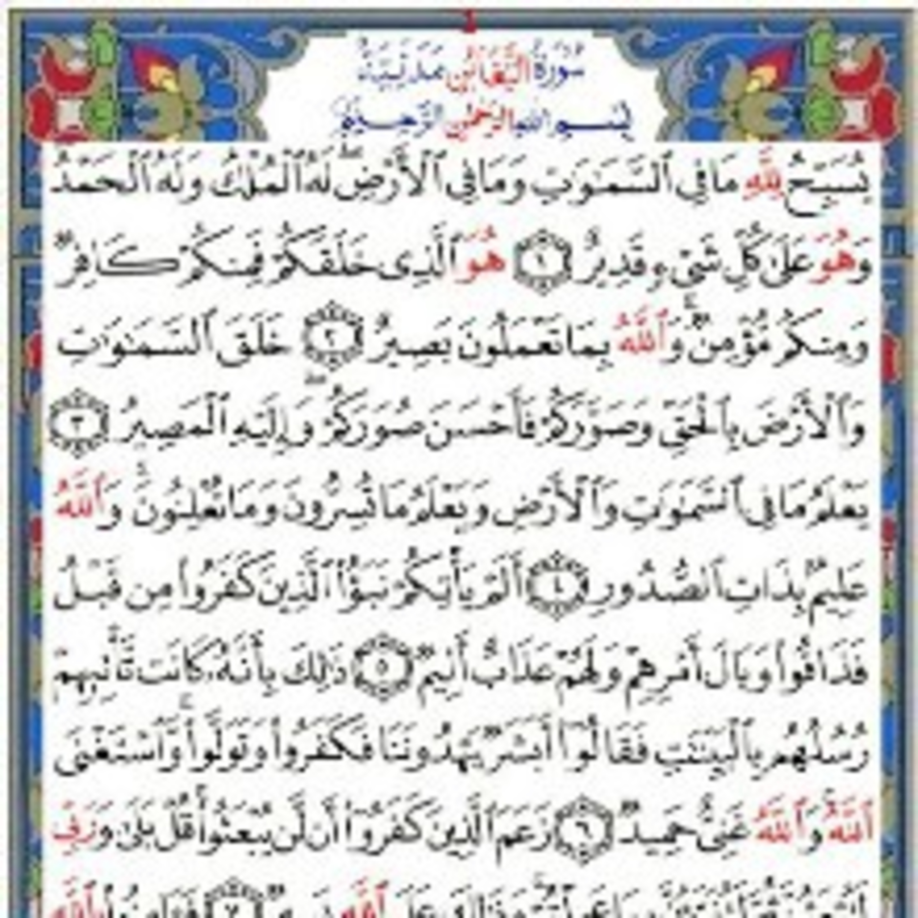 Read Alqur’an Today