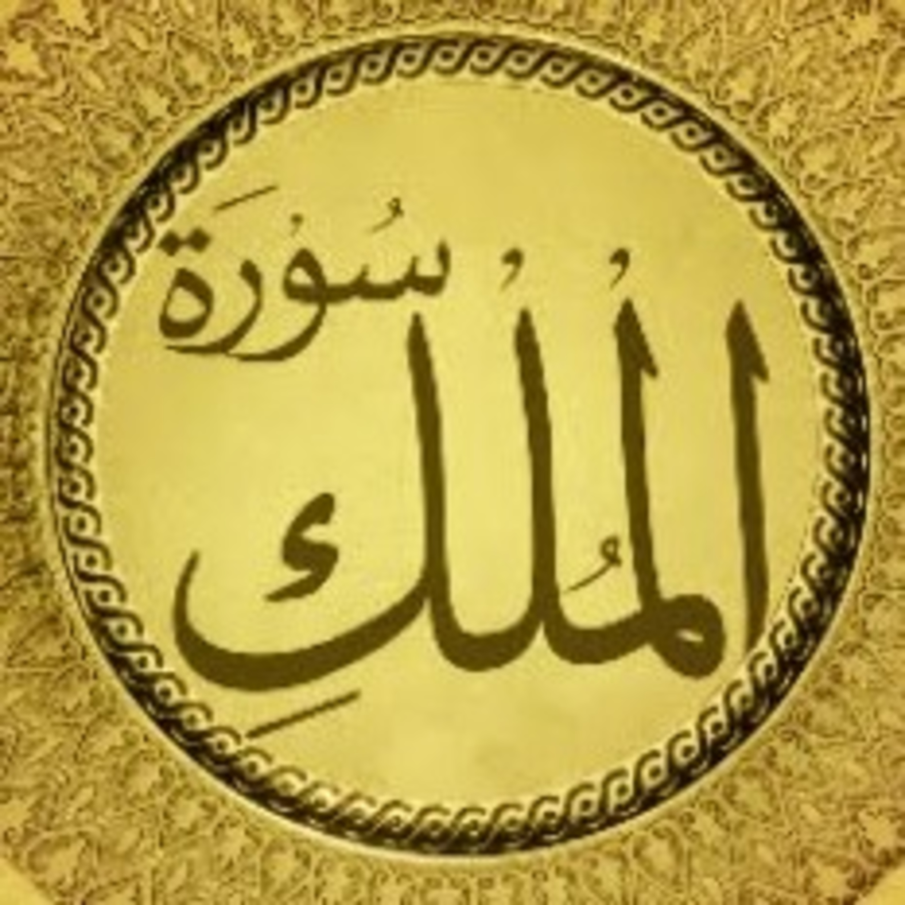 Read Alqur’an Today
