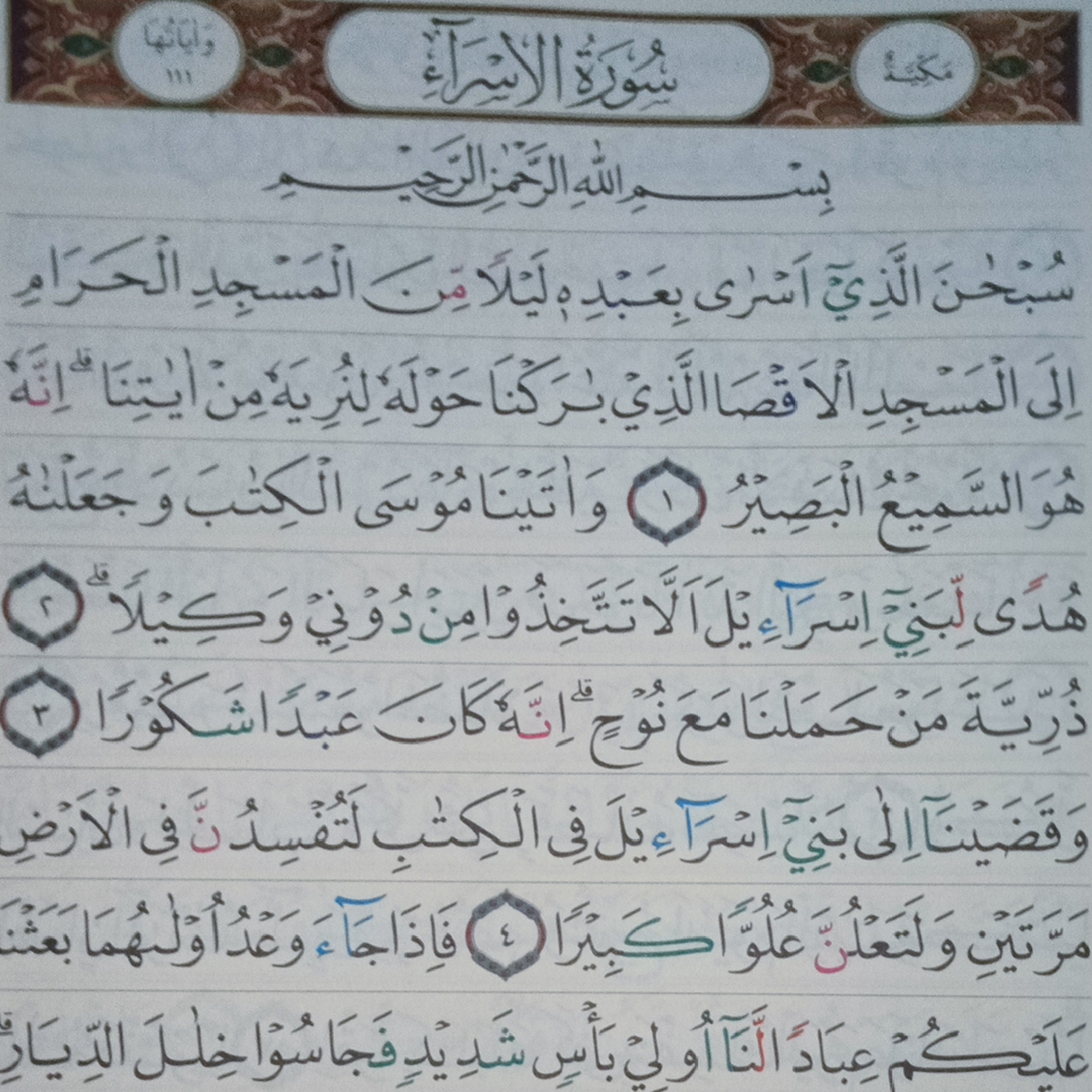Read Alqur’an Today