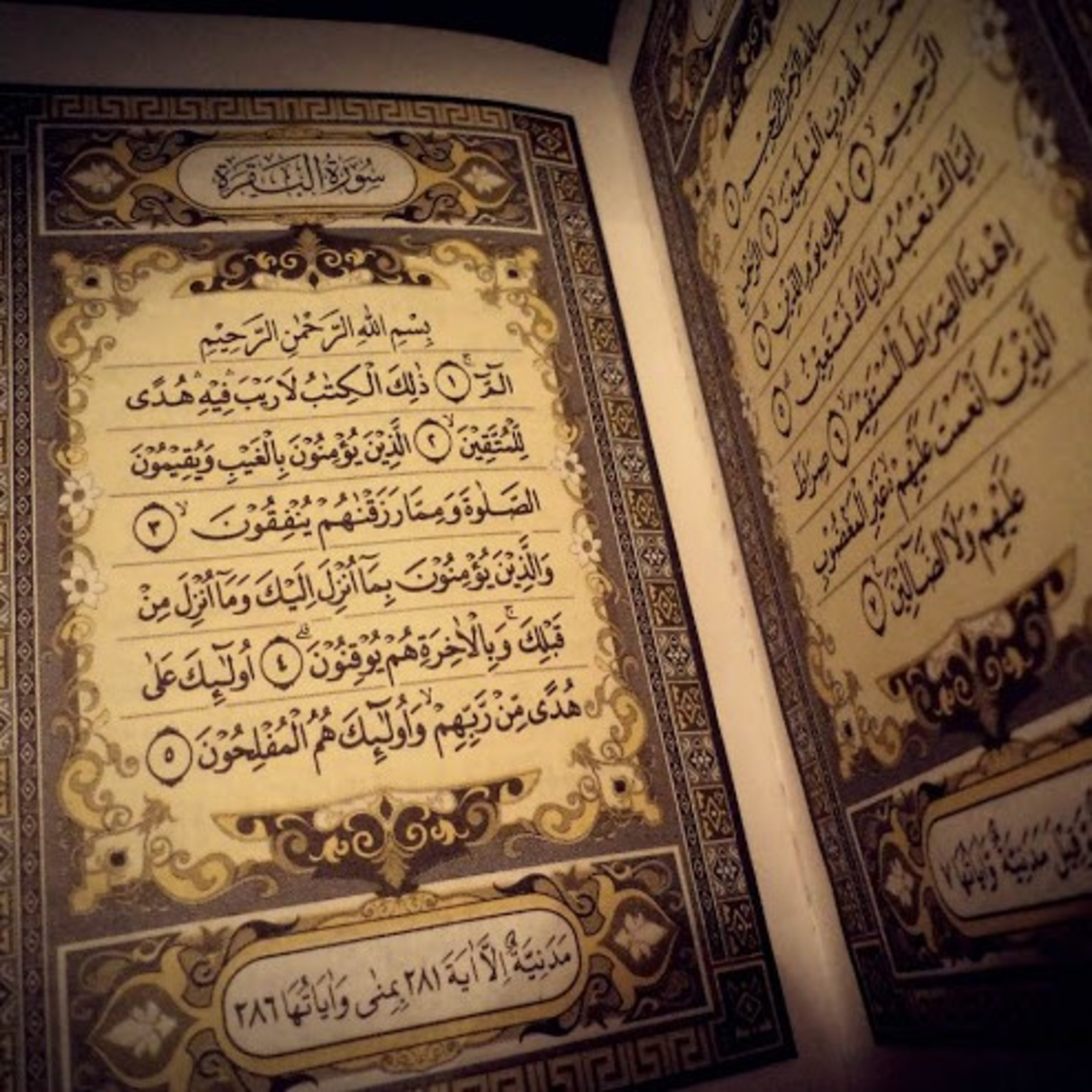 Read Alqur’an Today
