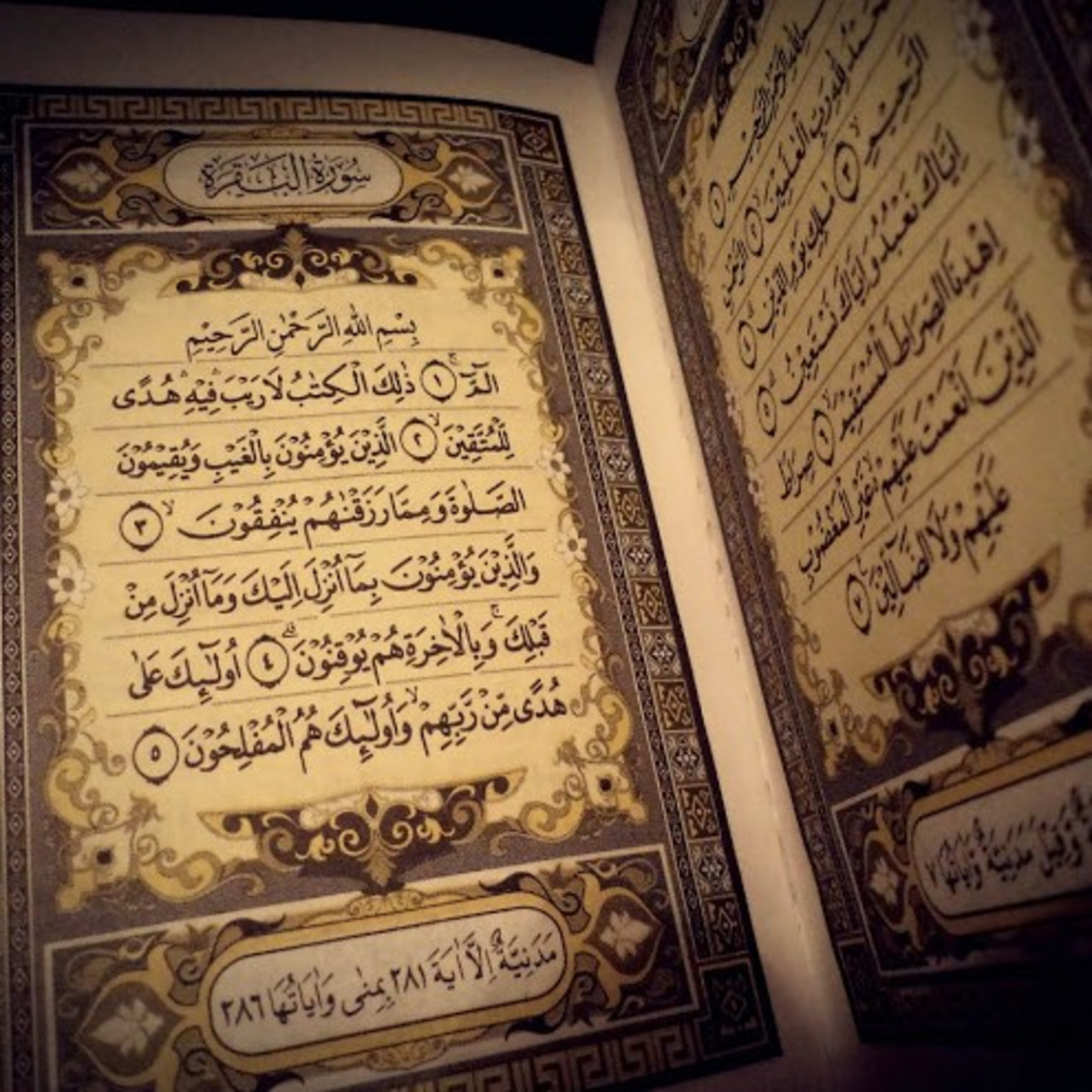 Read Alqur’an Today