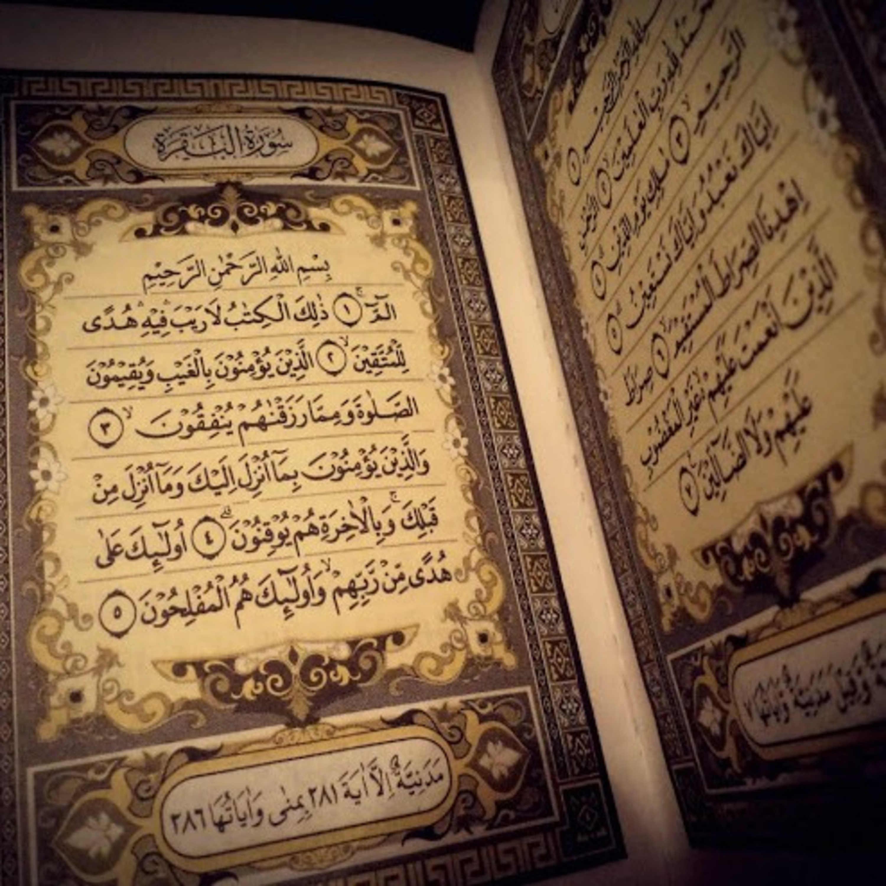 Read Alqur’an Today