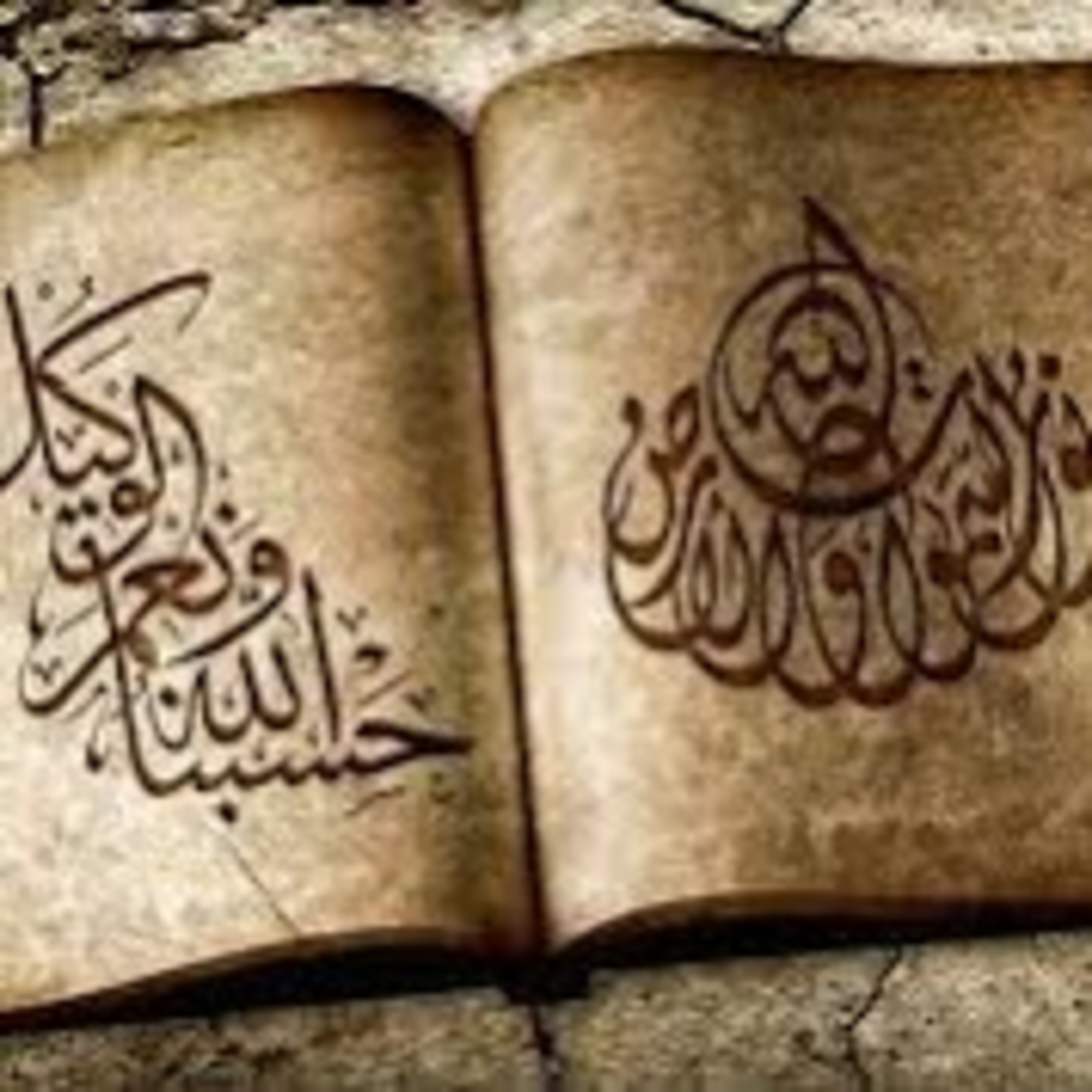 Read Alqur’an Today