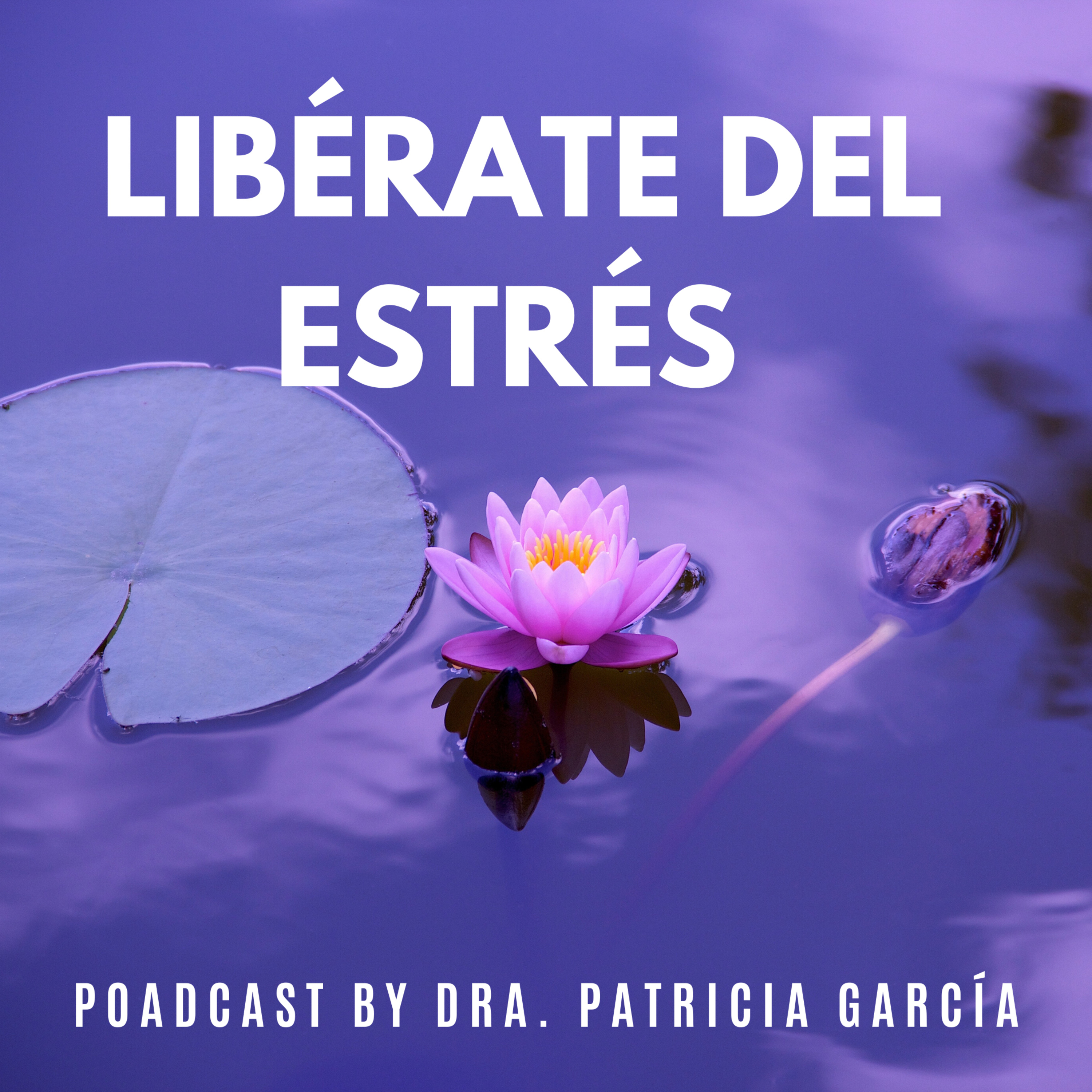 Meditación completa: Créala tú mismo - Dra. Patricia García