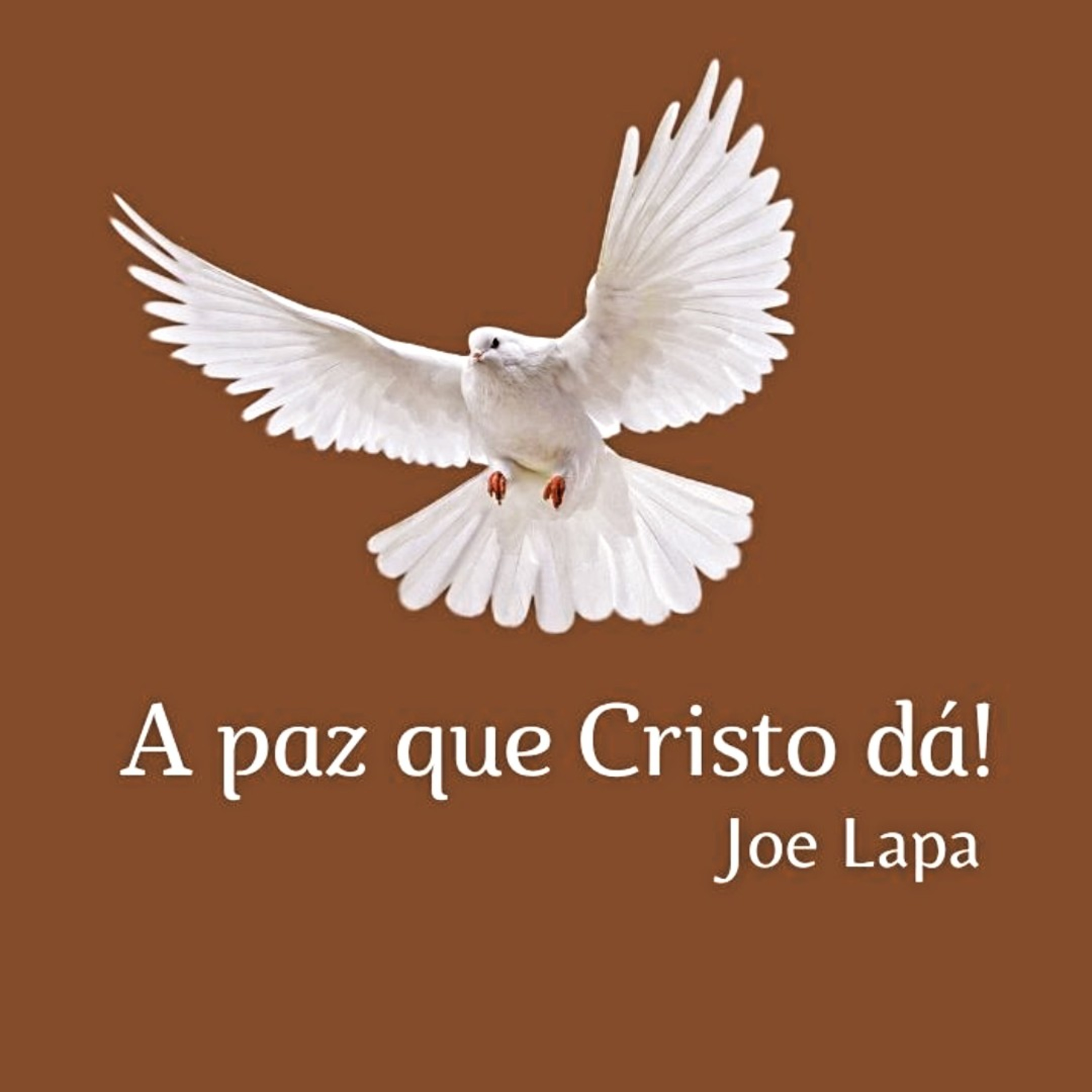Joe Lapa