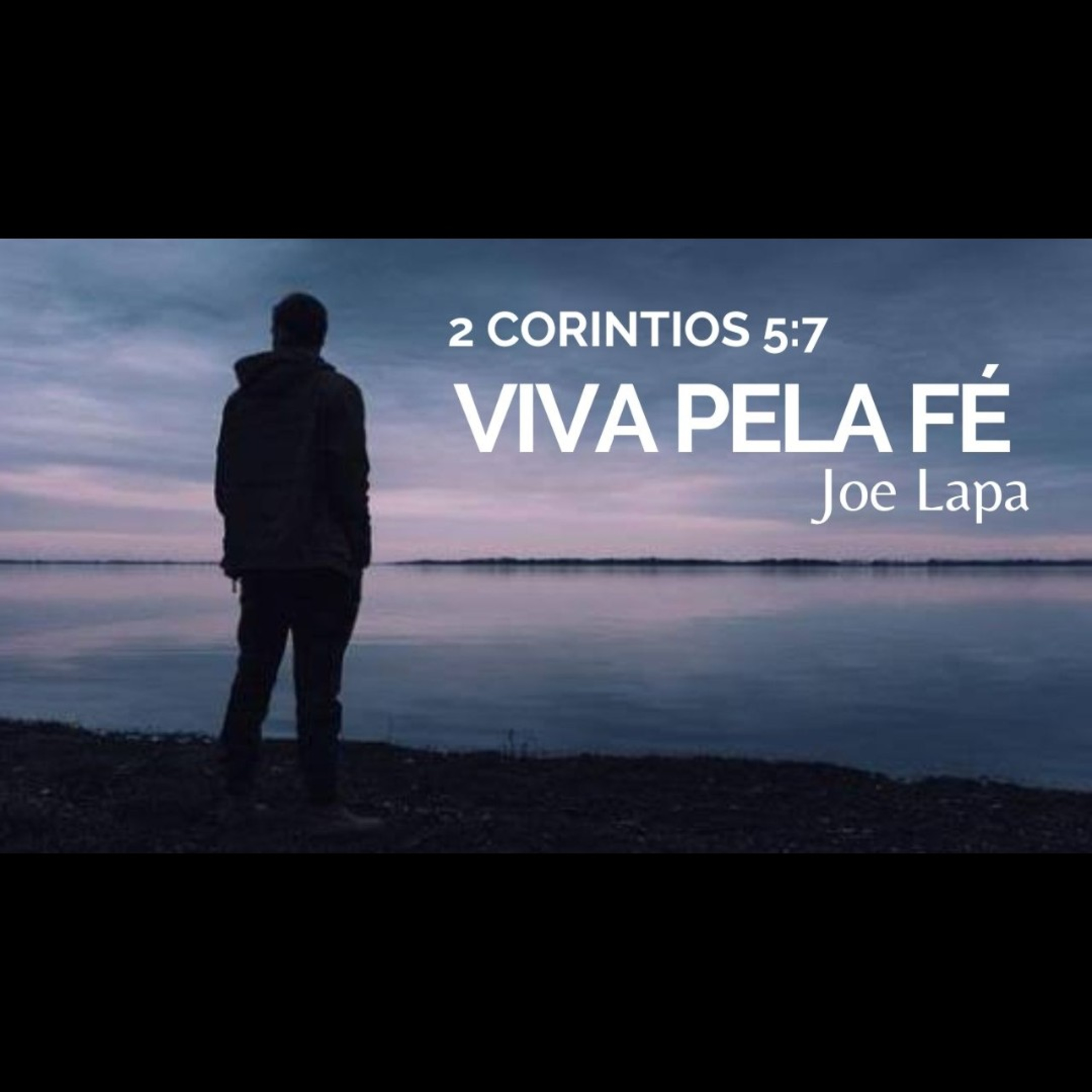 Joe Lapa