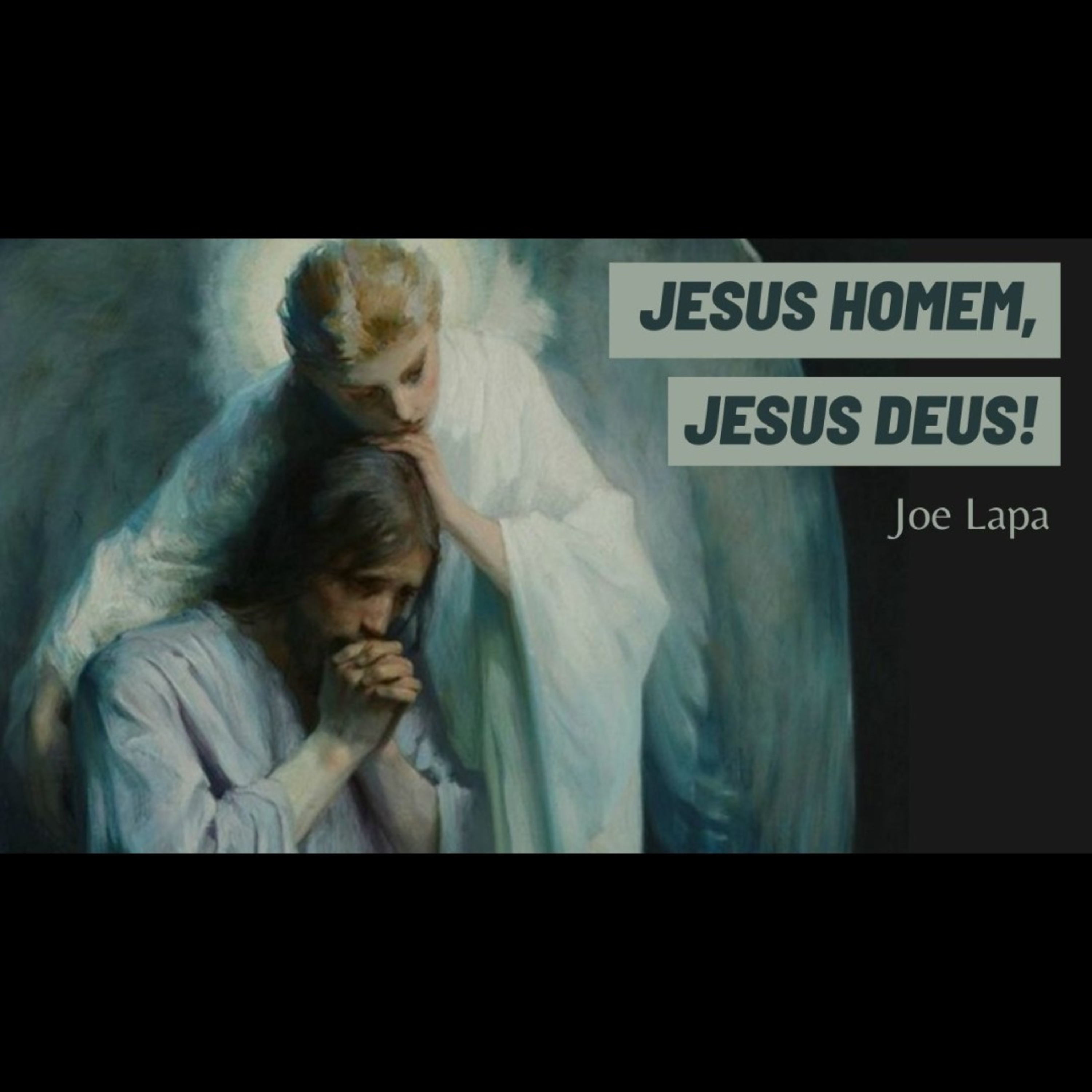 Joe Lapa
