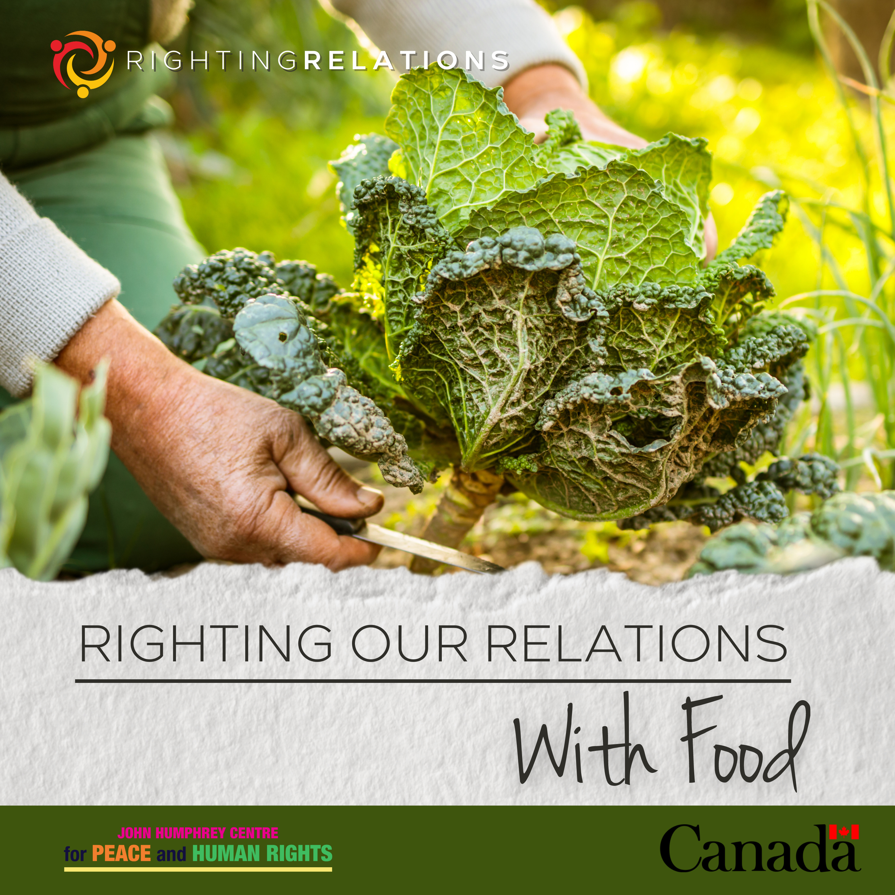 Righting Our Relations with Food - Modern Systems, Modern Solutions episode artwork