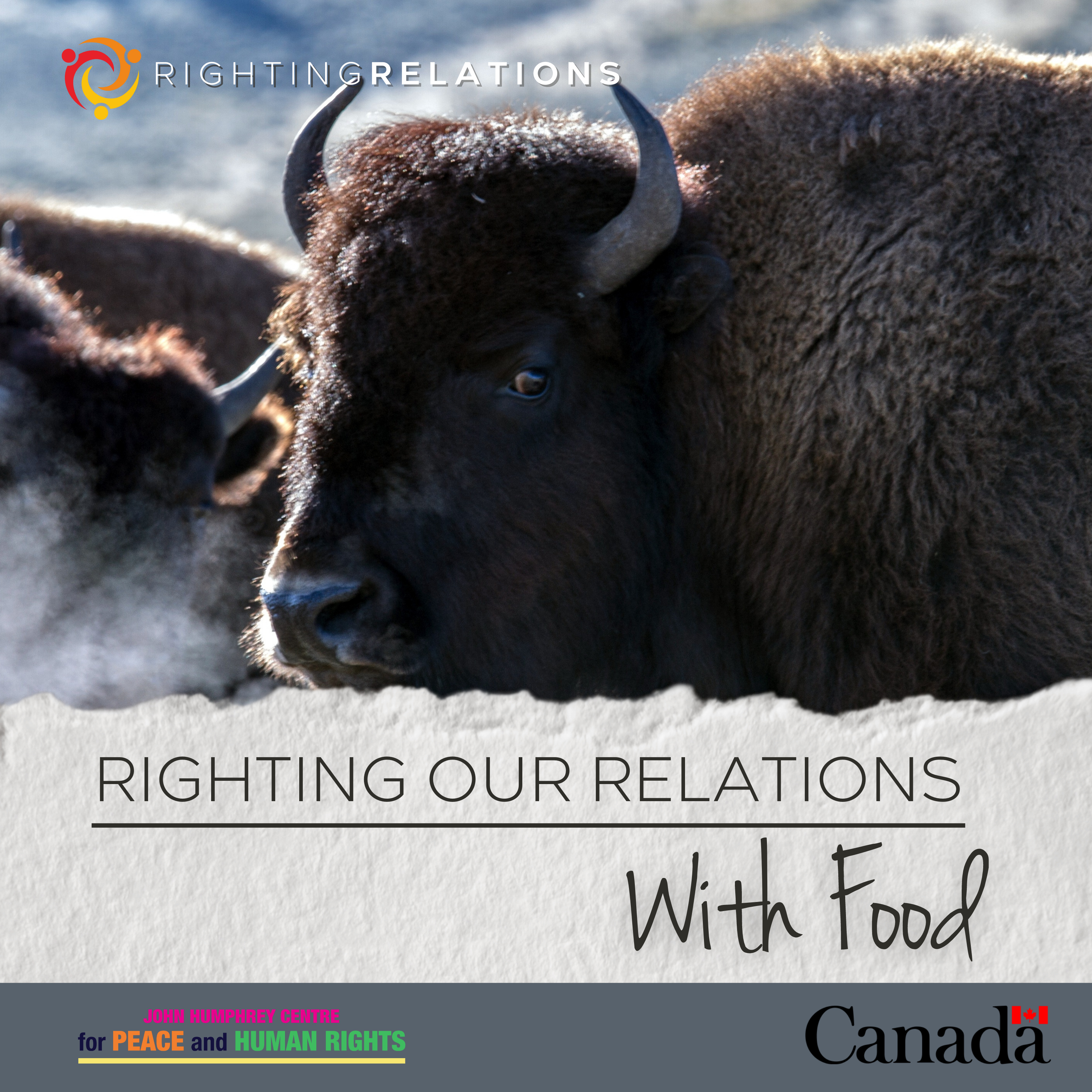 Righting Our Relations with Food: Food Sovereignty from Buffalo to Bannock episode artwork