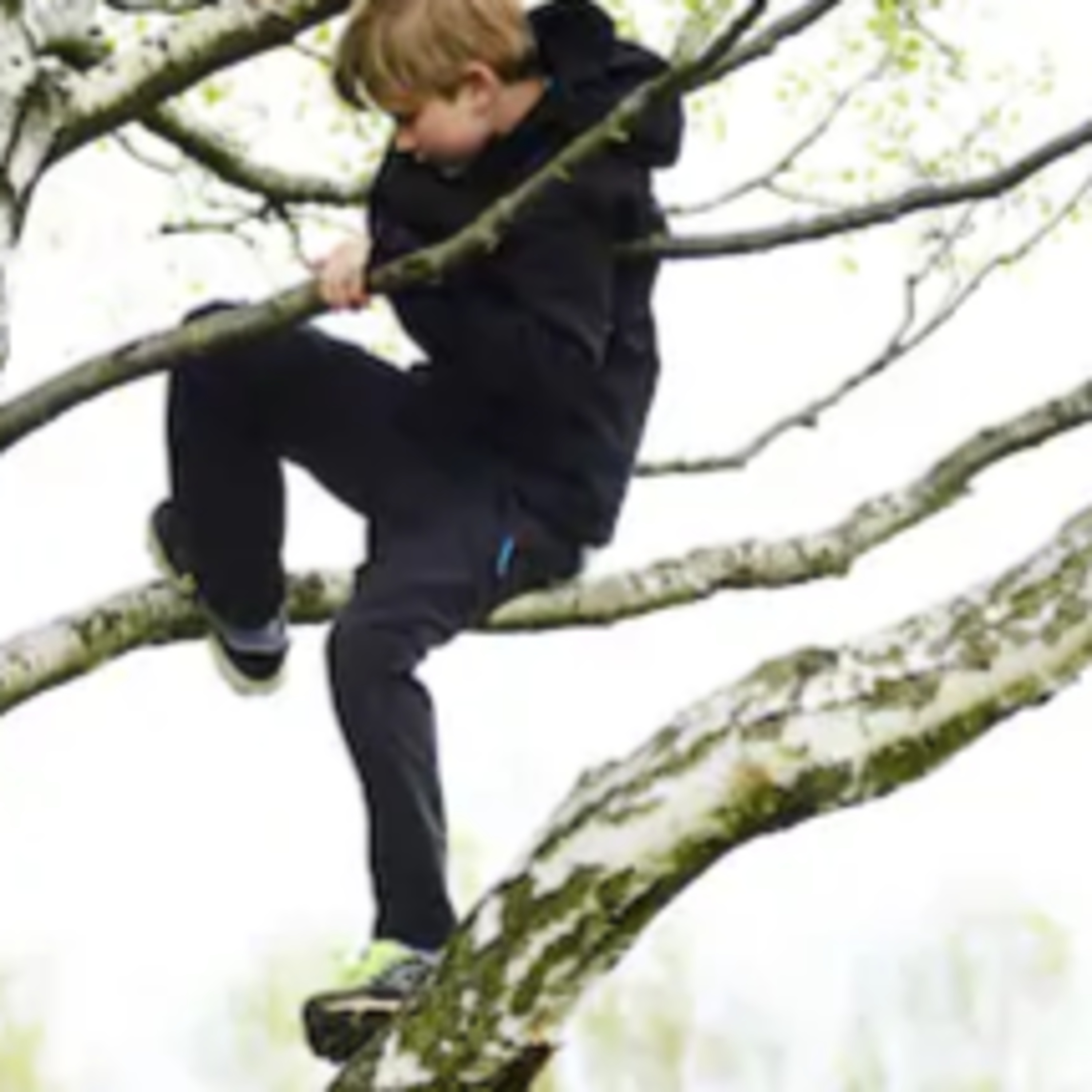 Climb to the Sky: Listening Comprehension