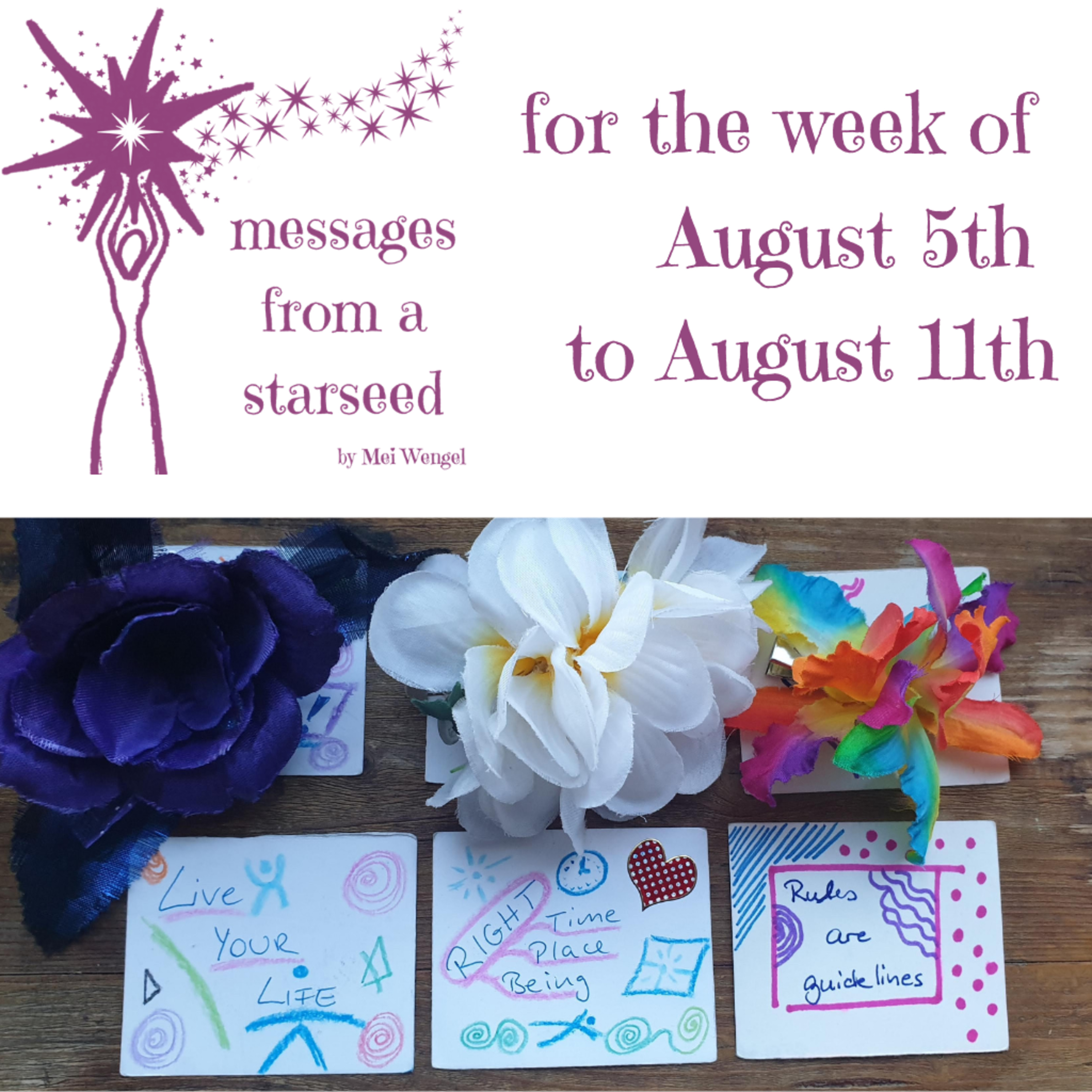 messages from a starseed