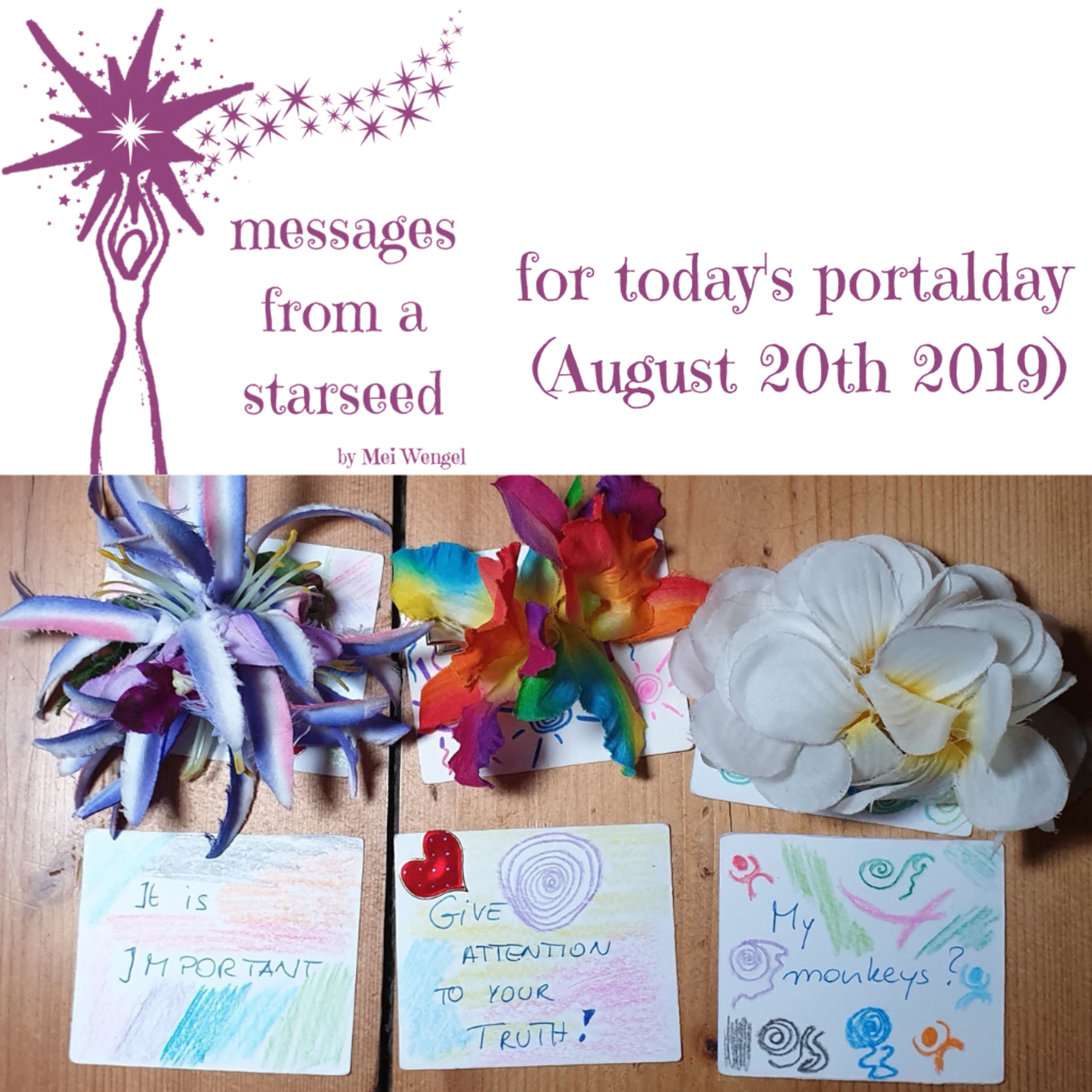 messages from a starseed