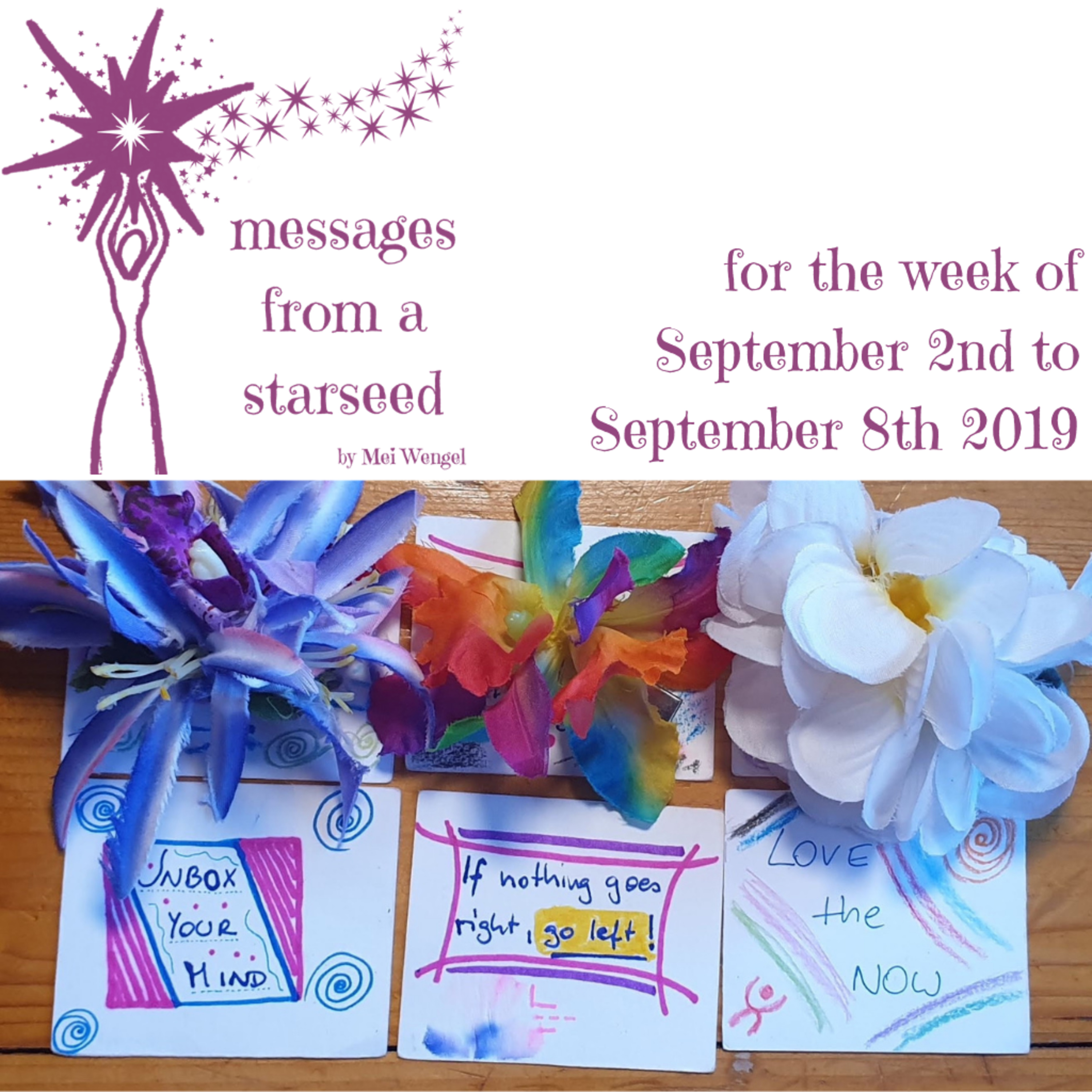 messages from a starseed