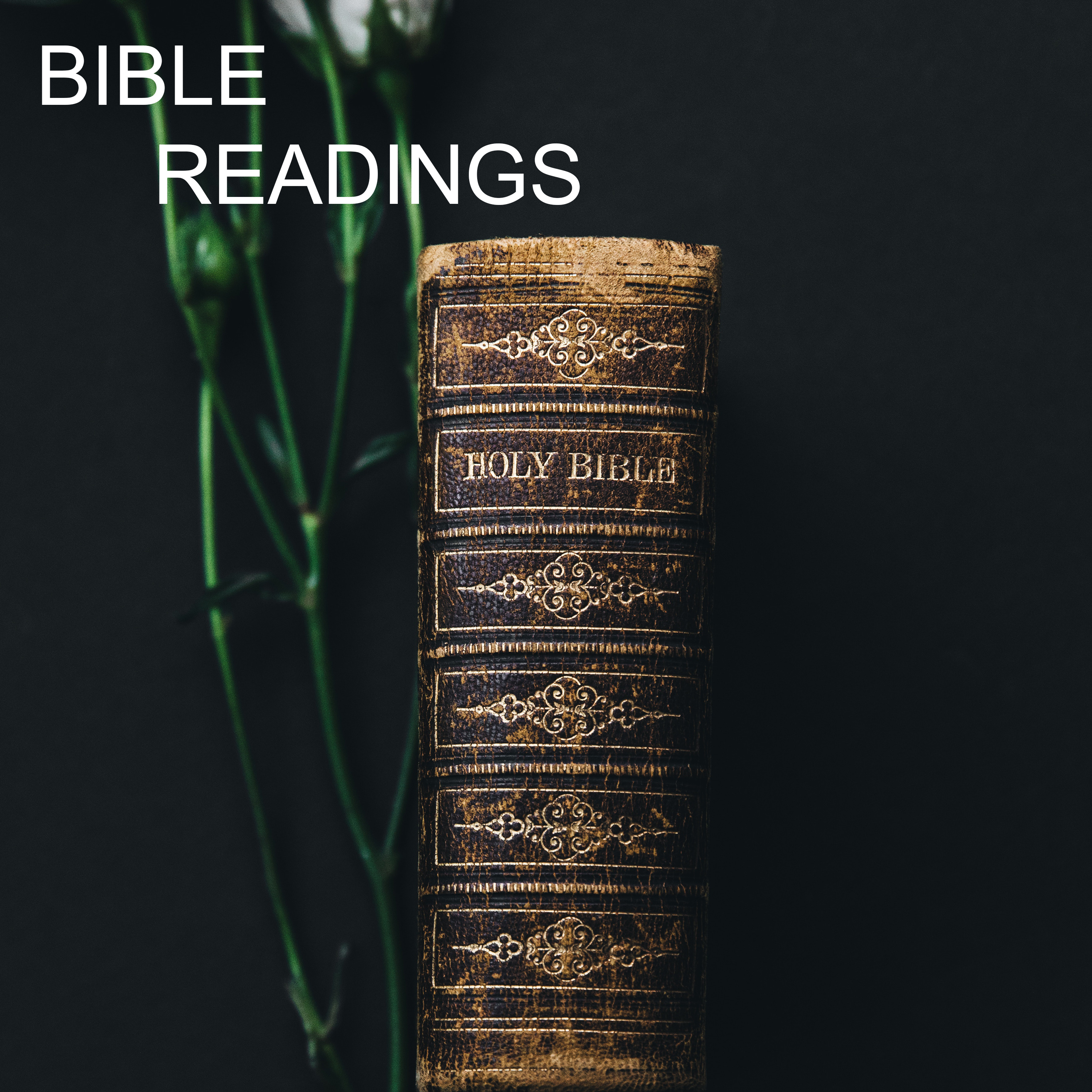 Catholic Bible Readings