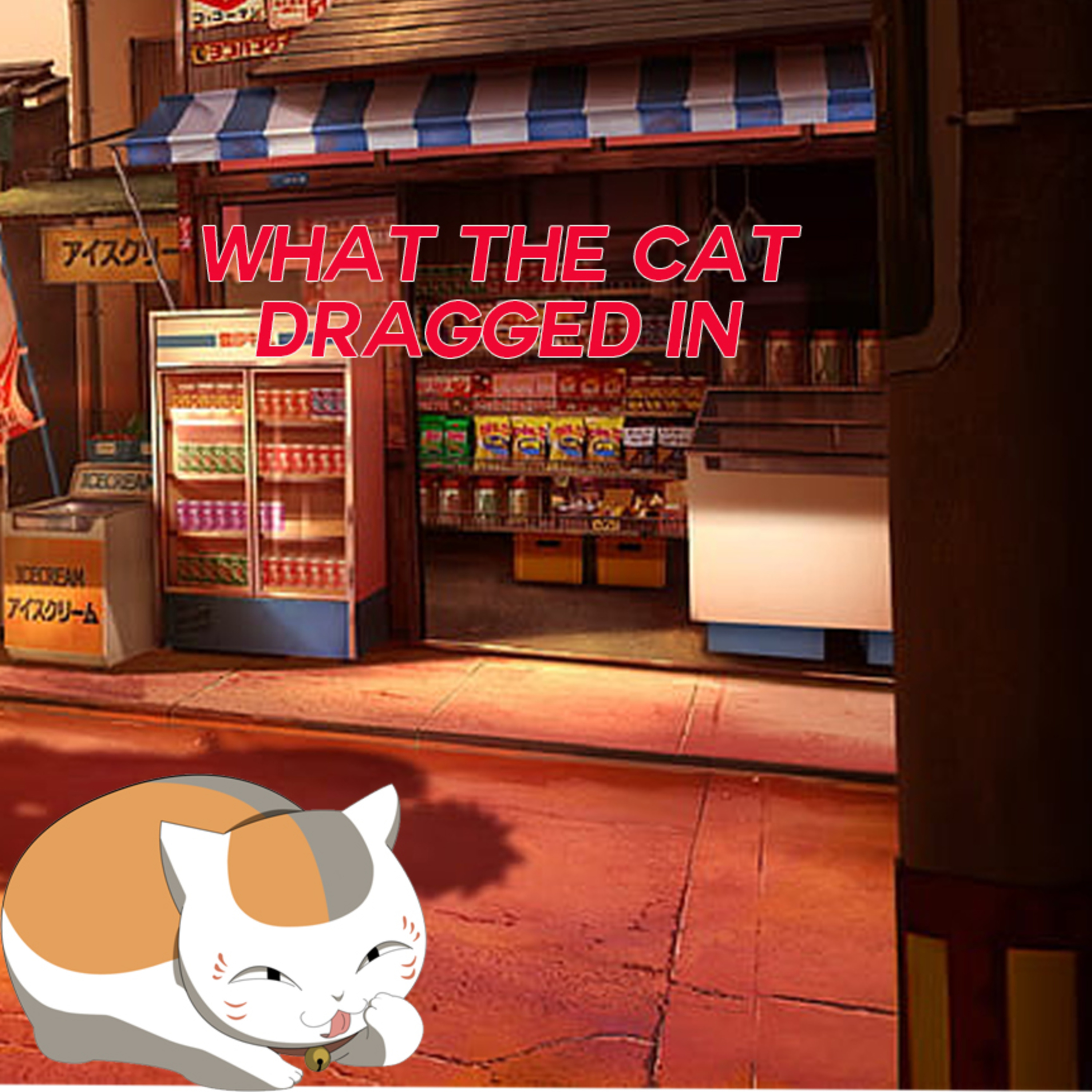 Ranma 1/2 - What the Cat Dragged in episode artwork