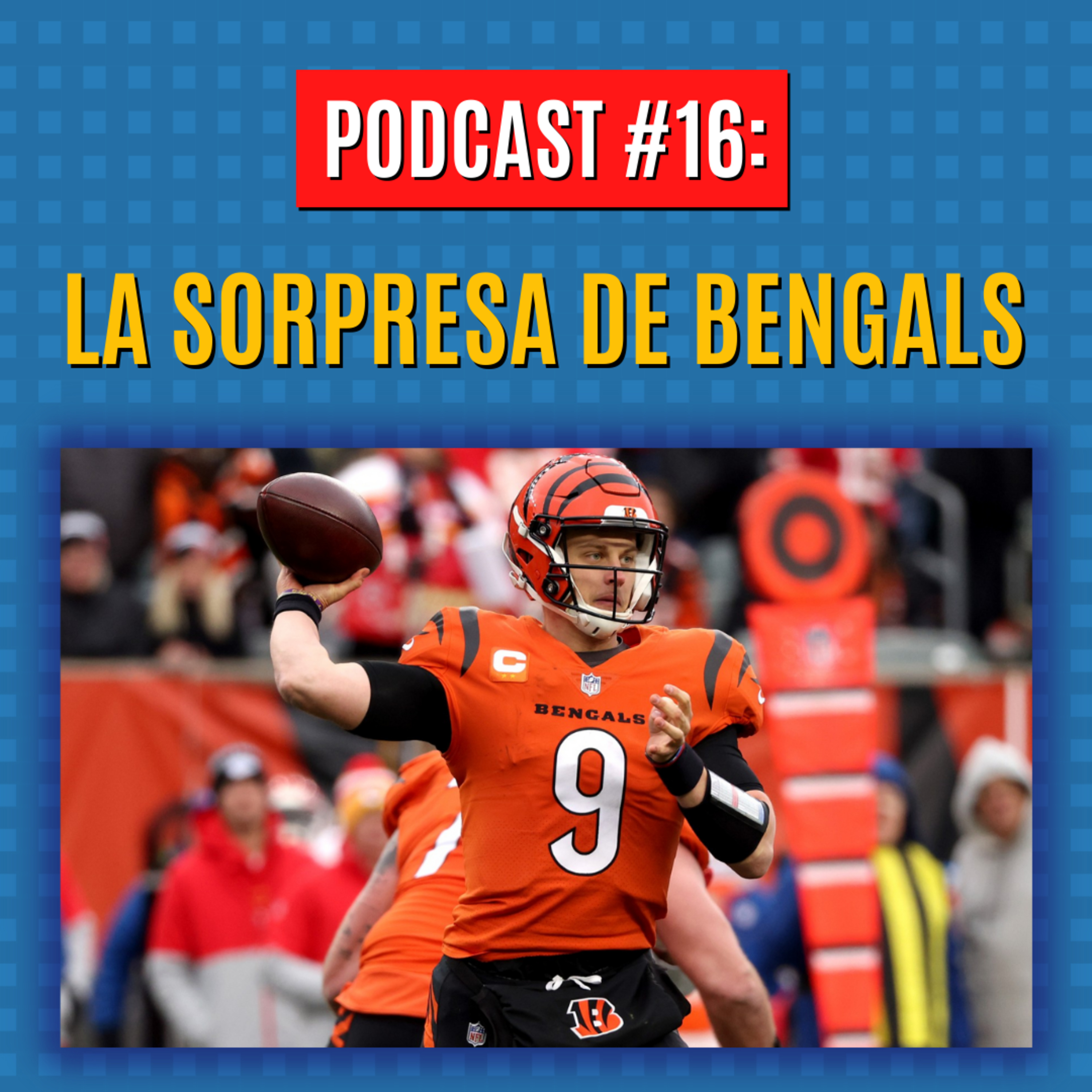 Locos por la NFL