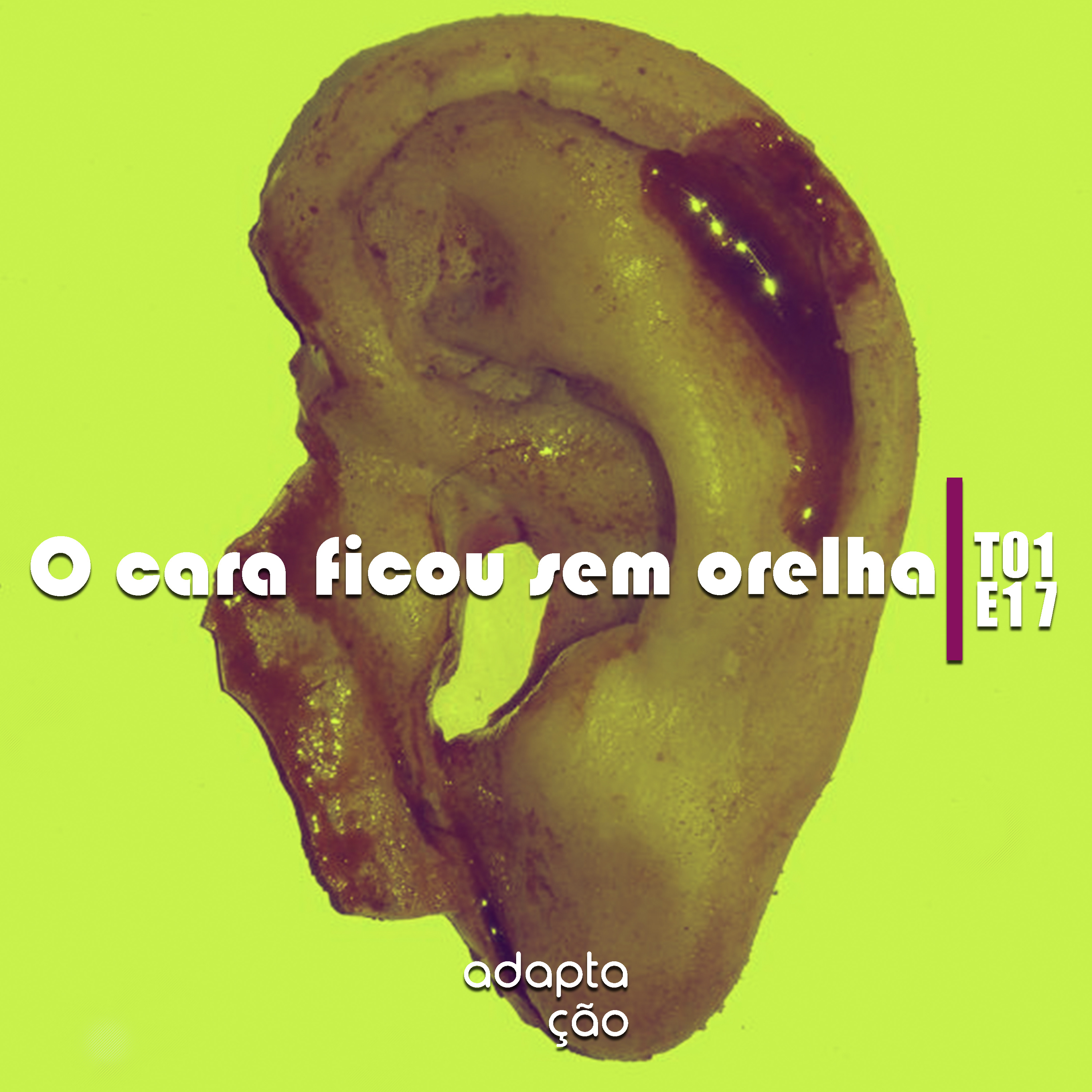 Adaptação
