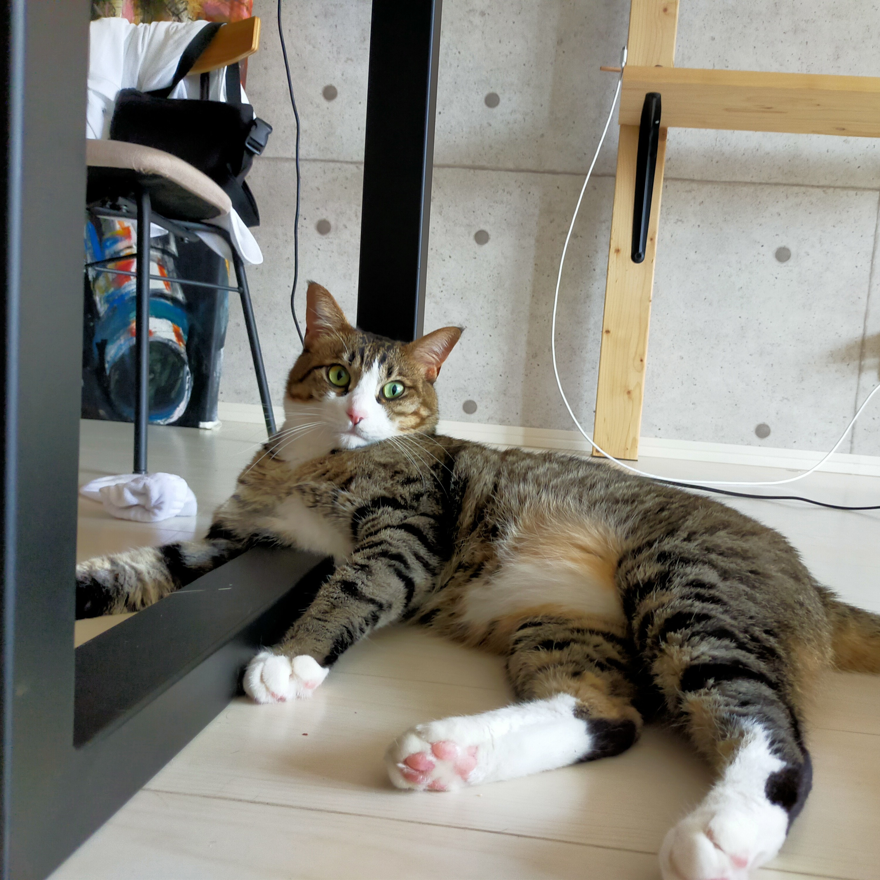#209 無駄と思ったことでも意味があると思えたら全部報われる気がする…知らんけど episode artwork