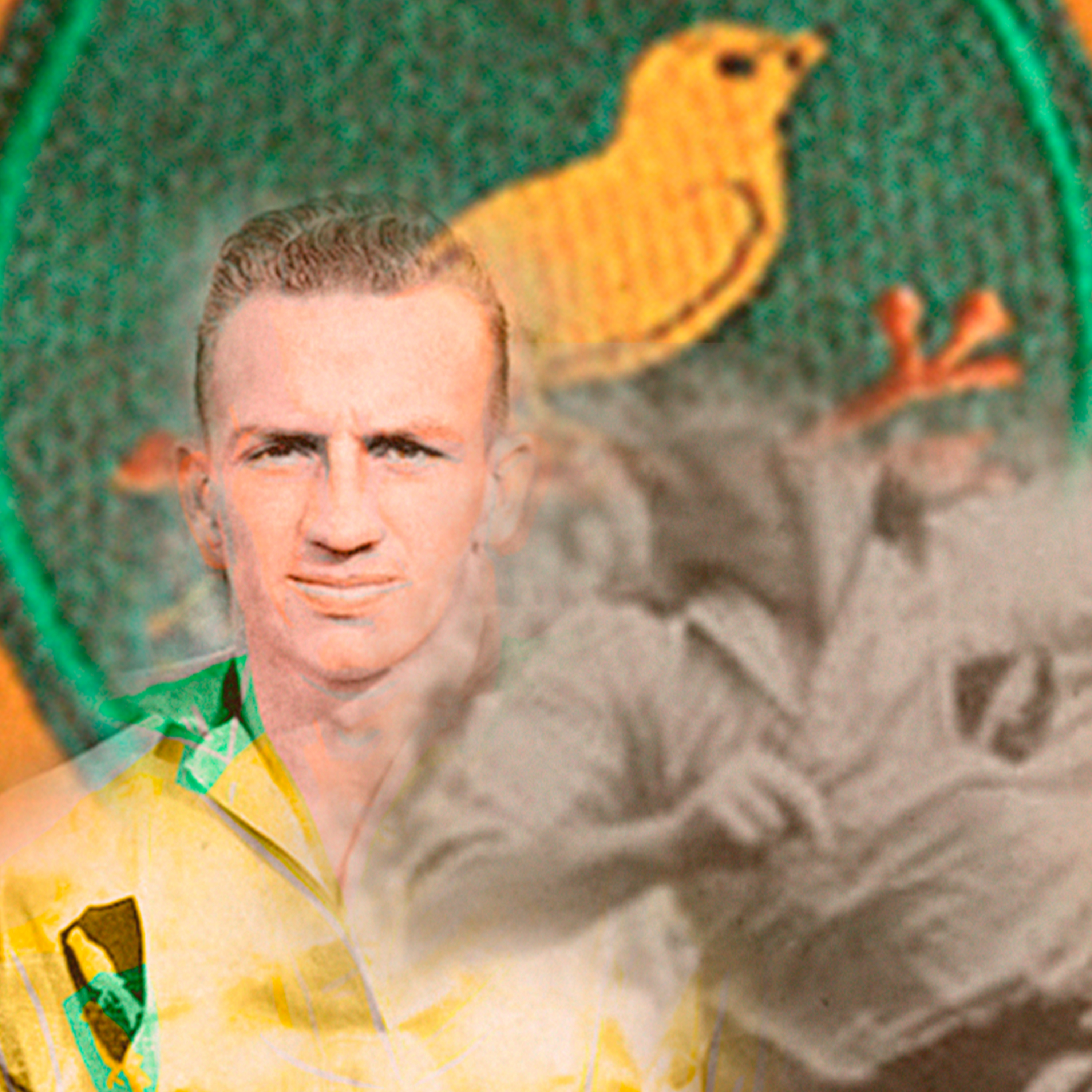 CanaryCast | O podcast dos Brazilian Canaries!