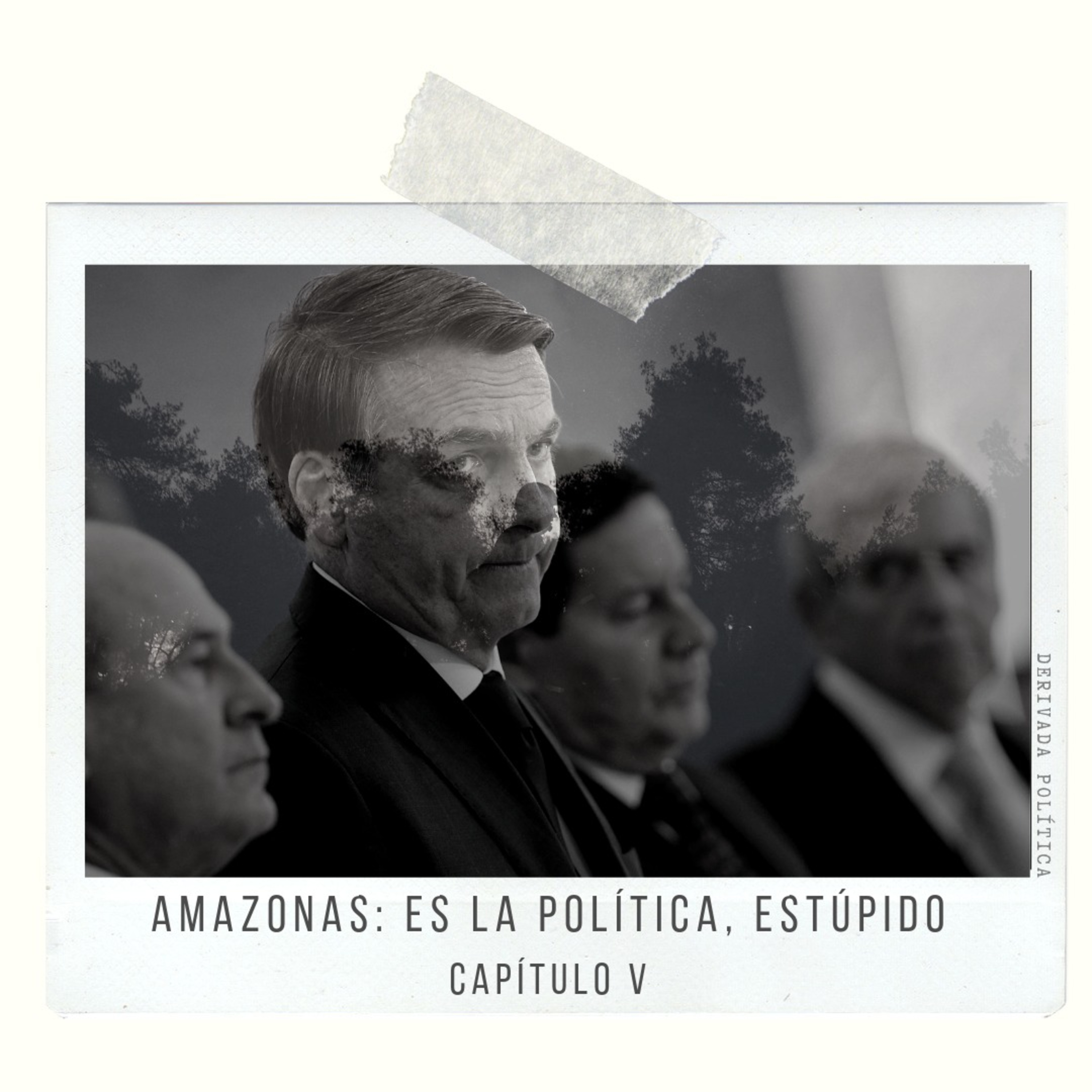 Derivada Política