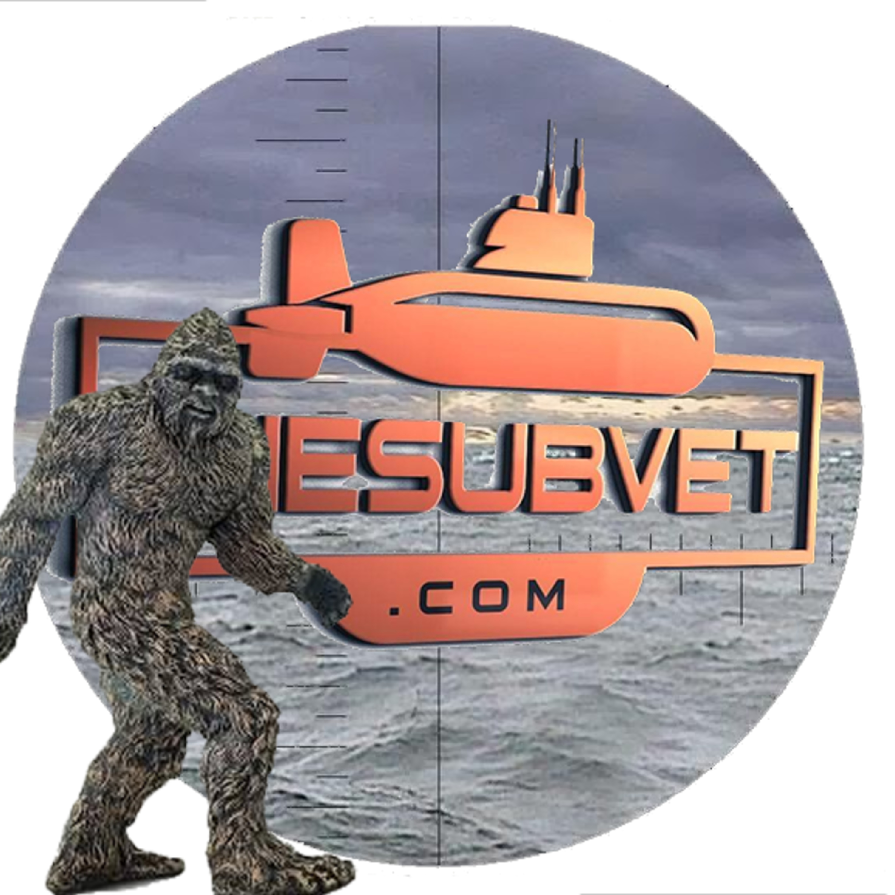The Sub Vet Podcast