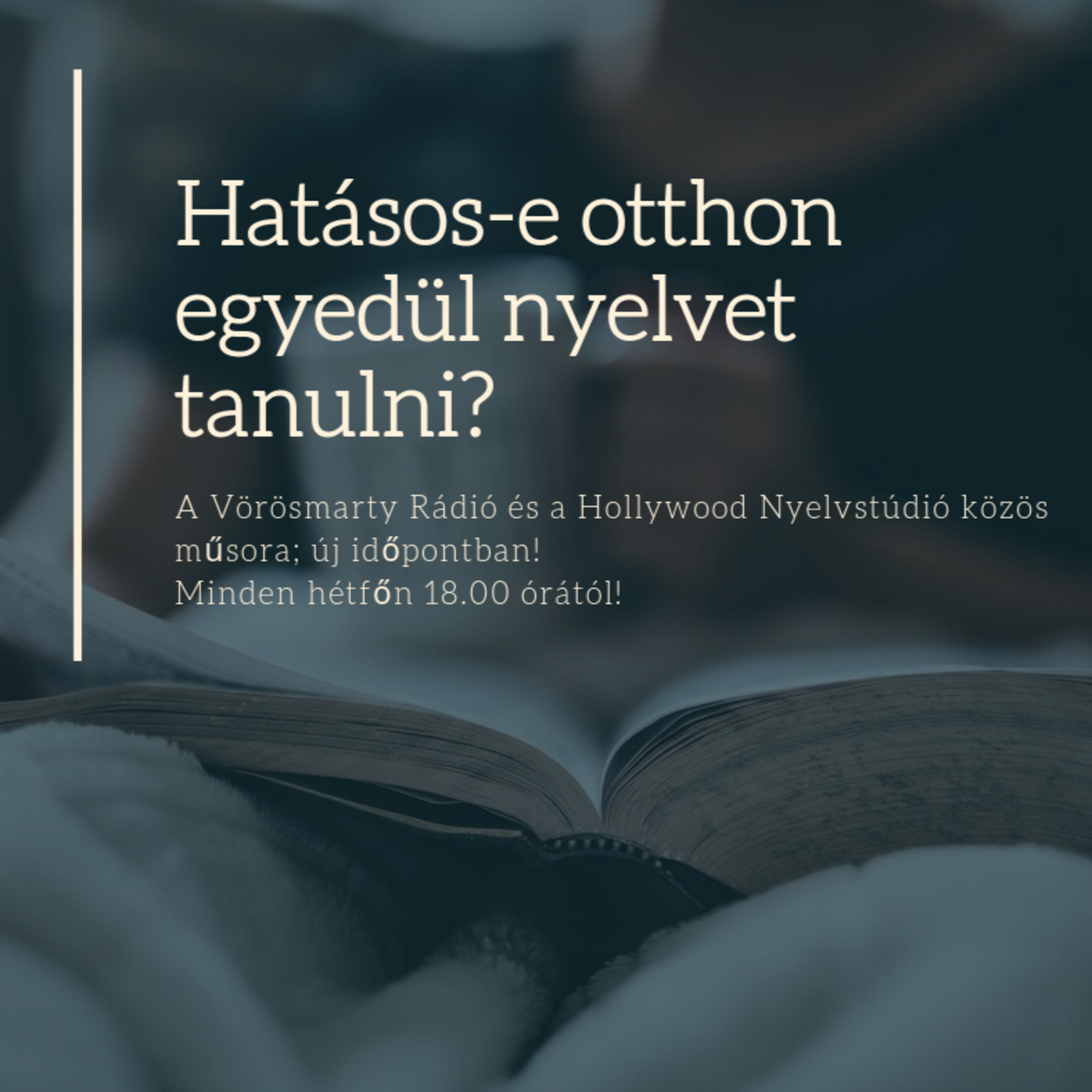 Hatásos-e otthon, egyedül nyelvet tanulni?